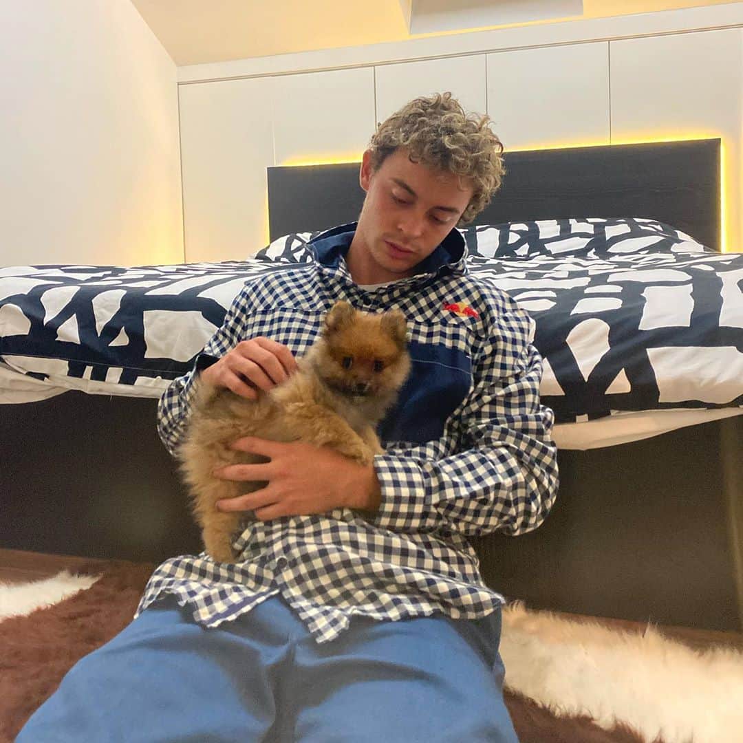 グスタボ・リベイロのインスタグラム：「New little homie ❤️」