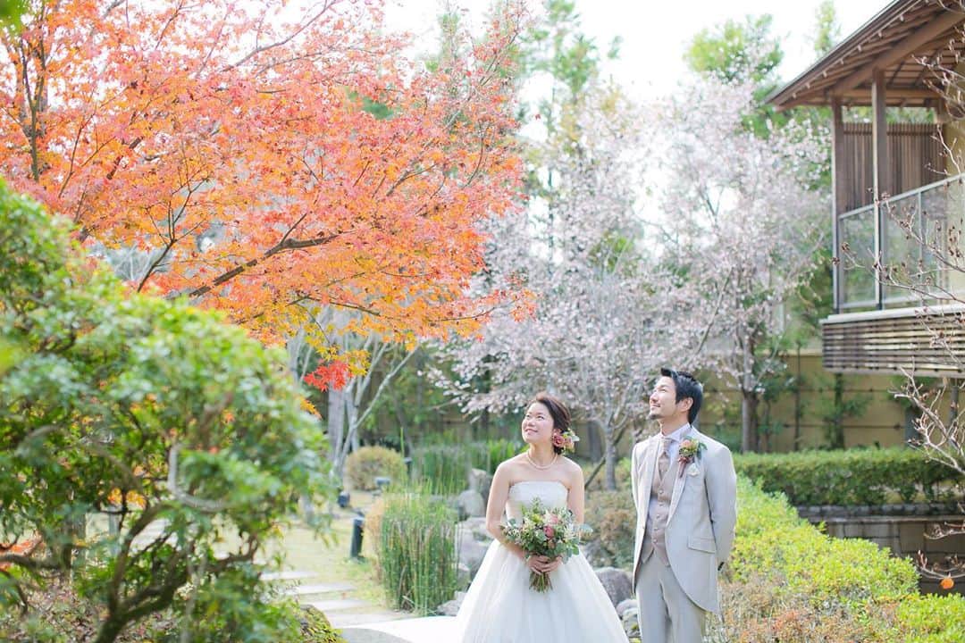 桜鶴苑のグルメインスタ