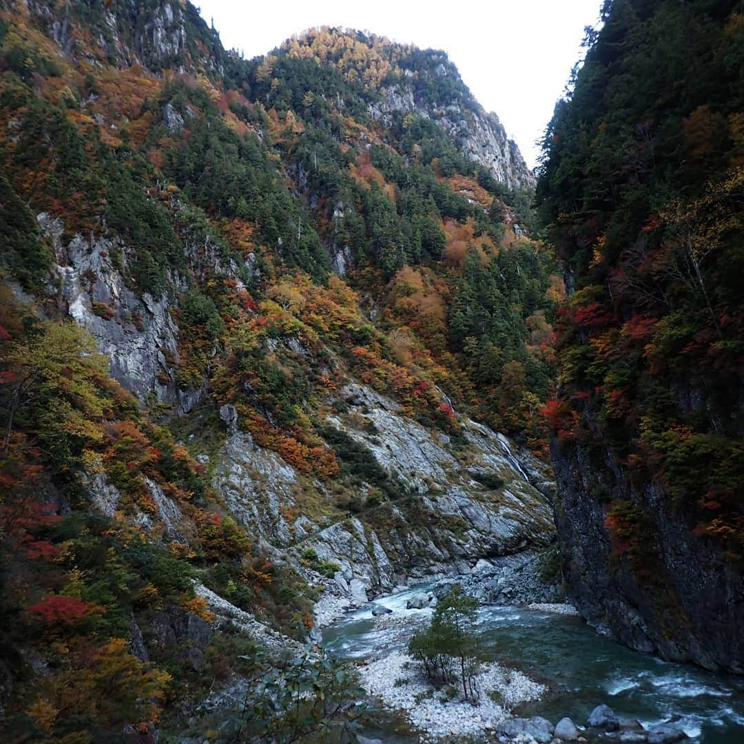 ＩＣＩ石井スポーツエベレスト＆ローツェ登山隊のインスタグラム