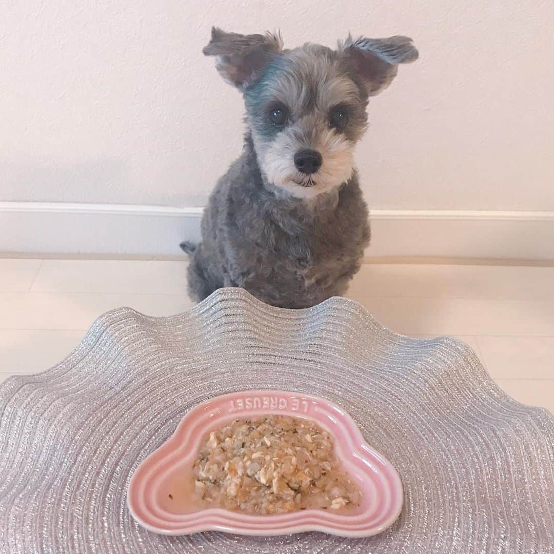 橘珠里のインスタグラム