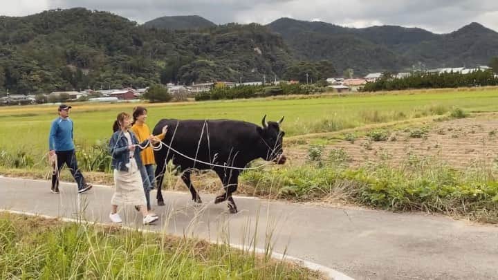 近藤しづかのインスタグラム