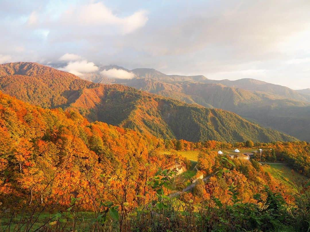 ASUKAさんのインスタグラム写真 - (ASUKAInstagram)「.﻿ 長野の紅葉🍁﻿ ﻿ 京都や大阪で見る紅葉とはまた一味違う、自然なままの赤やオレンジ、黄色といった様々な色が織り成す山々の紅葉は壮大でした✨﻿ ﻿ 紅葉の期間てほんと短いし今回見れて良かった🥺❤️﻿ ﻿ #紅葉 #長野 #白馬 #白馬八方尾根 #日本の絶景 #retrip_nippon #長野の車窓から #olympus #オリンパス倶楽部 #olympusomdem10」10月25日 21時57分 - a.asuka.a