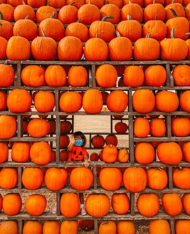 マップトートのインスタグラム：「I spy something blue! Thanks for capturing all the safe fall fun with you are having, @jeffmindell !」