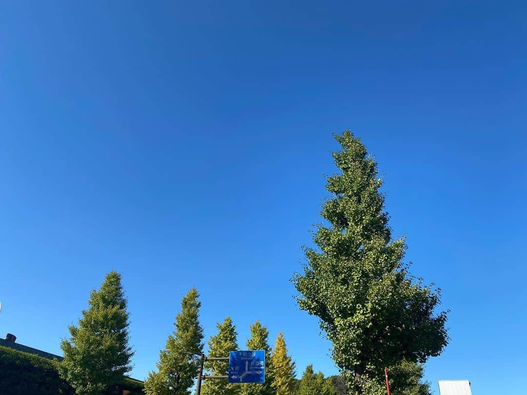 広橋佳苗さんのインスタグラム写真 - (広橋佳苗Instagram)「快晴☀️」10月25日 22時02分 - kanae___0922