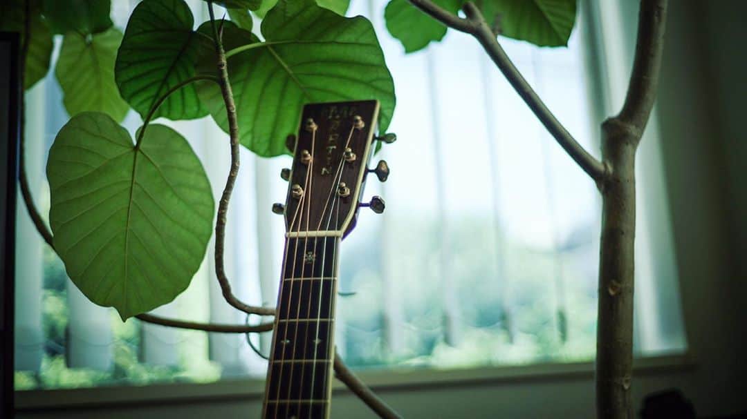 近藤薫のインスタグラム：「#Martin #OM42 #guitar #acoustic #guitarist #martinguitar #6string #アコギ #アコギ弾き語り #ギター弾き語り #アコースティックギター」