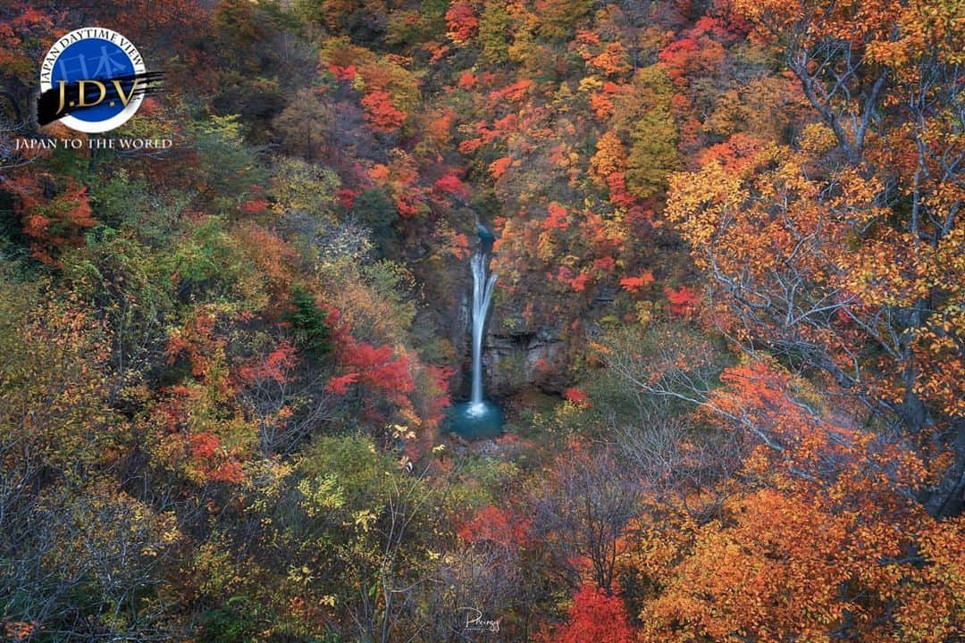 japan_daytime_viewさんのインスタグラム写真 - (japan_daytime_viewInstagram)「⁑ ✨👑 J D V Photo Of The Day 👑✨ ⁑ ✨🎊 C O N G R A T U L A T I O N S 🎊✨ 素敵な作品をシェアして頂き有難う御座います🙏🏻 ⁑ Photographer :  @phaengy  Location :  栃木県 Photo Selected : @may1228maho フィーチャー条件 ① 撮影地（都道府県名）が判別出来る情報の記載 。 ② @Japan_Daytime_View をフォロー。 ③ ハッシュタグに #Japan_Daytime_View を付加。 ⁑ Admin : @masa.105 Mod : @mikanino_2016 Mod : @lll_photo_ Mod : @yasuto.photography Mod : @kaji_nori06 Mod : @ailes_5pht  Mod : @may1228maho ⁑ 🎌Japan Viewグループ🎌  @japan_daytime_view (日の出〜日没迄の写真) @japan_night_view (日没から日の出迄の写真) --------------------------------- #Japan#日本#風景#栃木県#紅葉」10月25日 22時14分 - japan_daytime_view