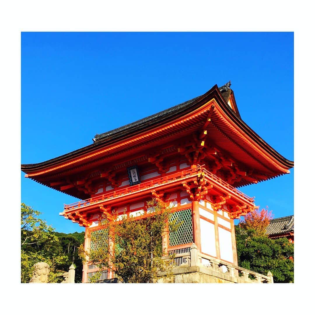 柴田幸子さんのインスタグラム写真 - (柴田幸子Instagram)「Go to 使って京都30時間の旅🚅💨 10年ぶり？くらいの清水寺🙏🏻🙏🏻🙏🏻❤️」10月25日 22時14分 - shibata_sachiko