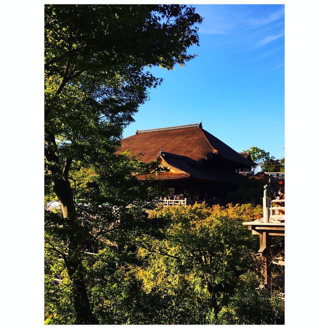 柴田幸子さんのインスタグラム写真 - (柴田幸子Instagram)「Go to 使って京都30時間の旅🚅💨 10年ぶり？くらいの清水寺🙏🏻🙏🏻🙏🏻❤️」10月25日 22時14分 - shibata_sachiko