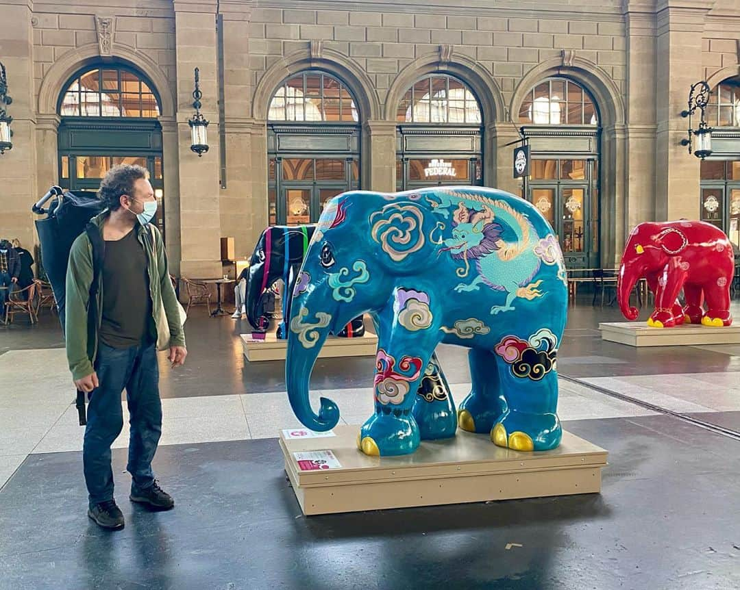 フレッド・二コルさんのインスタグラム写真 - (フレッド・二コルInstagram)「The Asian elephants are an endangered species and desperately need our help. Human-elephant conflict, loss of natural habitat, poaching and capture are the biggest issues threatening elephants. There are less than 50,000 Asian elephants left. In the last 100 years, their habitat has shrunk by 95% and their population has declined by 90%. Known as the "gardeners of the earth", many plants and animals depend on elephants for their own lives. If elephants disappeared, many other species would too. The elephant will become extinct if we do not do something right now. Elephant Parade is committed to raising funds to make a difference and to help save elephants. Be part of it. (Extract from their website) #elephantparade link to their website is in my bio and my story! @elephantparadefan」10月25日 22時08分 - fred_nicole