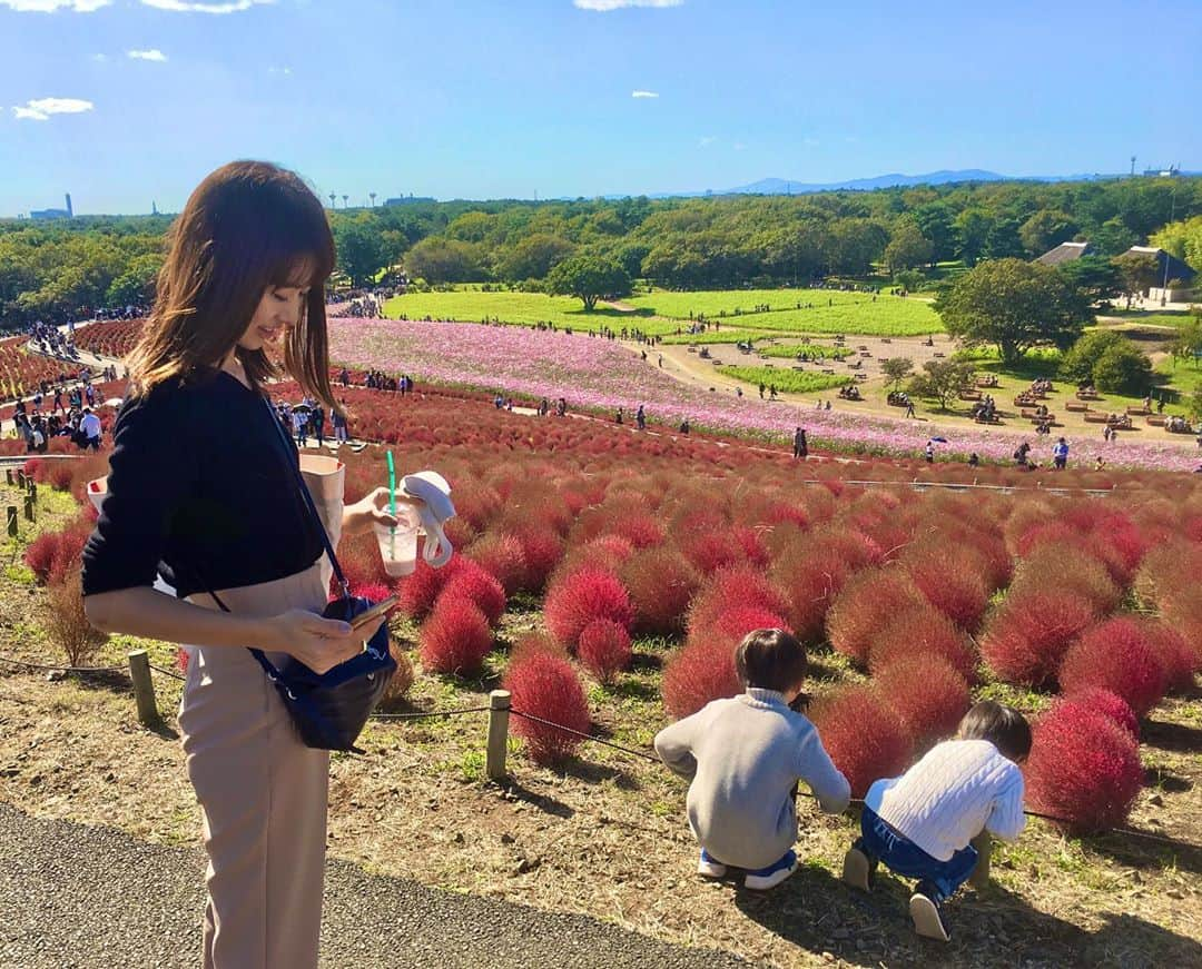 牧村麻美のインスタグラム：「物凄く綺麗な景色に癒された日♡ はぁ、ほんとに美しかった。 これ、全部iPhoneの加工無しでこれよ。 カラフル過ぎない？  #しかも干し芋の屋台とか焼き芋の屋台あるし #帰りに焼き芋大量に3箱買えたし #焼き芋のソフトクリームまで食べられたし #さいこーじゃんか #写真撮る人を撮る越しの坊ちゃん達ほんっっと可愛いなぁー #さいこーじゃんか  #男の子ママ#兄弟ママ#茨城#ひたちなか市#ひたちなか海浜公園#コキア#コスモス畑#自然が好き#でもやっぱり芋が好き」