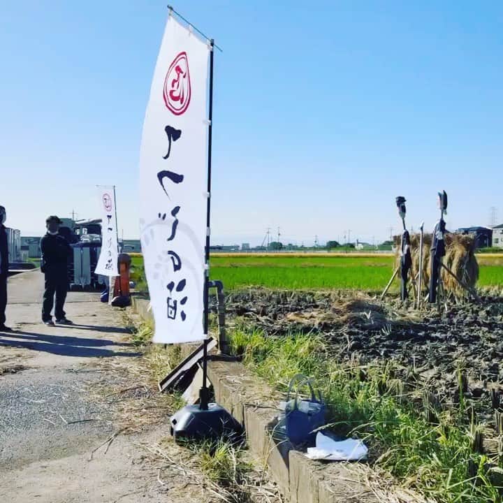 宮田麺児のインスタグラム：「稲刈りの写真集と ドローン撮影 感謝  #稲刈り #山田錦 #ドローン撮影  #田んぼ #酒米 #日本酒好きな人と繋がりたい #」