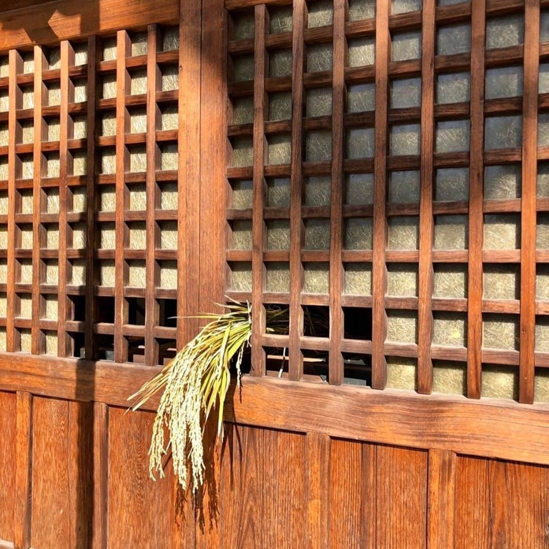 永倉由季さんのインスタグラム写真 - (永倉由季Instagram)「.﻿ .﻿ 【人生初の稲刈り】﻿ 　　　　　　　　　　　　﻿ シャンプーハットてつじさんのクラファン﻿ 『米から日本酒をつくりたい』2年目 　　　﻿ 　　　　　　　　　　　　　　﻿ 朝から東大阪で﻿ 人生初の稲刈りをしました🌾﻿ ﻿ 　　　　　　　　　　　　　﻿ このご時世なので﻿ 3班に分かれての参加となり﻿ ﻿ 　　　　　　　　　　　　　　﻿ てつじ先生や皆さんに﻿ カマの使い方を教えて頂きながら﻿ 気づけば夢中になって稲と向き合っていました🌾﻿ ﻿ 　　　　　　　　　　　　　　　﻿ 子供たちの稲刈り姿が可愛い♡一方で﻿ 大人たちのスイッチの入り方が面白かった😆﻿ ﻿ 　　　　　　　　　　　　　　　　﻿ このクラファンのストーリーは﻿ め〜っちゃくちゃ凄くて感動しちゃう。﻿ ﻿ 　　　　　　　　　　　　　　　　　﻿ 参加している全員が笑顔なのも﻿ 幸せな気持ちになれて心地いい✨﻿ ﻿ ﻿ ✅写真山盛り　↓ アメブロ﻿ ﻿ http://ameblo.jp/naga-yuki  #東大阪市　#稲刈り #田植え　#つづき #夢中 #みんな笑顔 #米から日本酒をつくりたい #てつじさん #日本酒づくり #クラウドファンディング #ストーリー #楽しい　#学びもある #ありがとうございます」10月25日 22時40分 - yuki_nagakura67