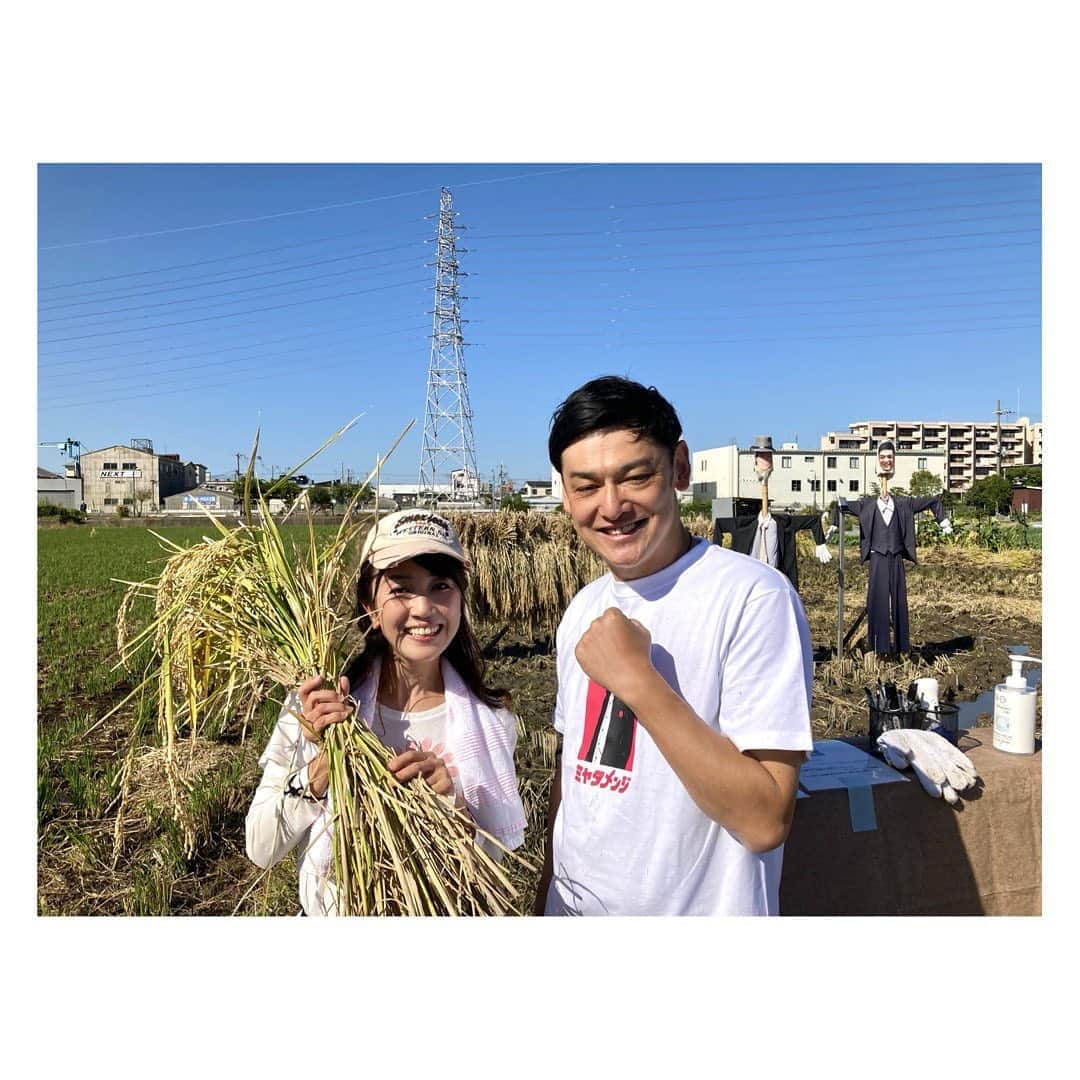 永倉由季さんのインスタグラム写真 - (永倉由季Instagram)「.﻿ .﻿ 【人生初の稲刈り】﻿ 　　　　　　　　　　　　﻿ シャンプーハットてつじさんのクラファン﻿ 『米から日本酒をつくりたい』2年目 　　　﻿ 　　　　　　　　　　　　　　﻿ 朝から東大阪で﻿ 人生初の稲刈りをしました🌾﻿ ﻿ 　　　　　　　　　　　　　﻿ このご時世なので﻿ 3班に分かれての参加となり﻿ ﻿ 　　　　　　　　　　　　　　﻿ てつじ先生や皆さんに﻿ カマの使い方を教えて頂きながら﻿ 気づけば夢中になって稲と向き合っていました🌾﻿ ﻿ 　　　　　　　　　　　　　　　﻿ 子供たちの稲刈り姿が可愛い♡一方で﻿ 大人たちのスイッチの入り方が面白かった😆﻿ ﻿ 　　　　　　　　　　　　　　　　﻿ このクラファンのストーリーは﻿ め〜っちゃくちゃ凄くて感動しちゃう。﻿ ﻿ 　　　　　　　　　　　　　　　　　﻿ 参加している全員が笑顔なのも﻿ 幸せな気持ちになれて心地いい✨﻿ ﻿ ﻿ ✅写真山盛り　↓ アメブロ﻿ ﻿ http://ameblo.jp/naga-yuki  #東大阪市　#稲刈り #田植え　#つづき #夢中 #みんな笑顔 #米から日本酒をつくりたい #てつじさん #日本酒づくり #クラウドファンディング #ストーリー #楽しい　#学びもある #ありがとうございます」10月25日 22時40分 - yuki_nagakura67