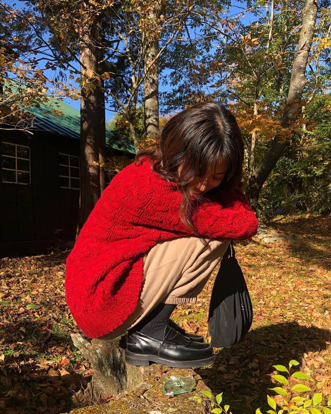 保坂美亜のインスタグラム：「🍂」