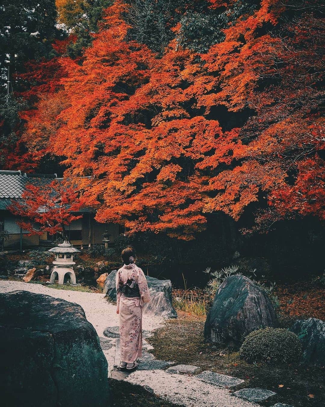 Berlin Tokyoさんのインスタグラム写真 - (Berlin TokyoInstagram)「Autumn paints the ancient capital in the most vibrant colors, creating a dazzling contrast to the ambience of serenity. . . . #hellofrom , rurikoin, kyoto, #japan」10月25日 23時16分 - tokio_kid
