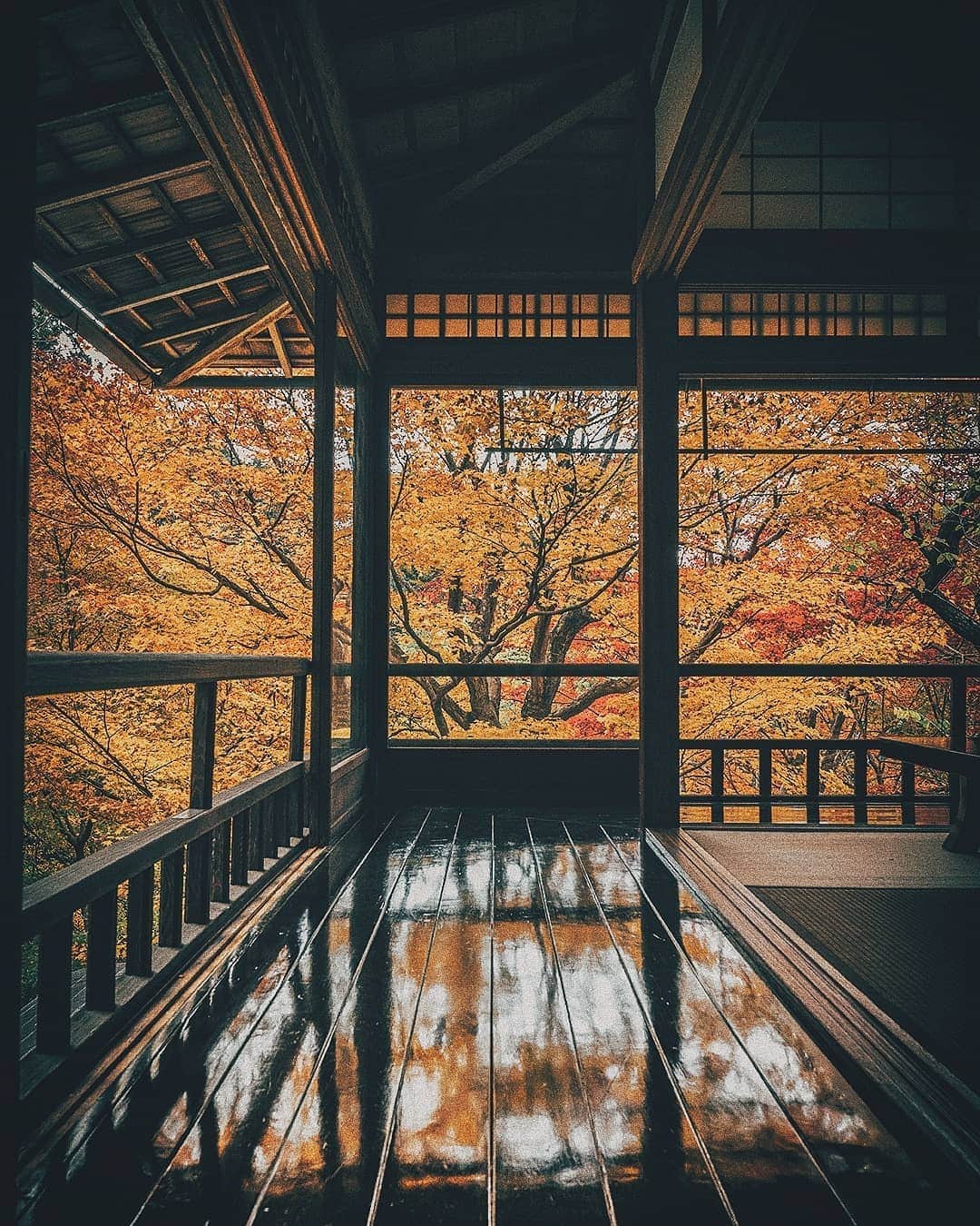 Berlin Tokyoさんのインスタグラム写真 - (Berlin TokyoInstagram)「Autumn paints the ancient capital in the most vibrant colors, creating a dazzling contrast to the ambience of serenity. . . . #hellofrom , rurikoin, kyoto, #japan」10月25日 23時16分 - tokio_kid