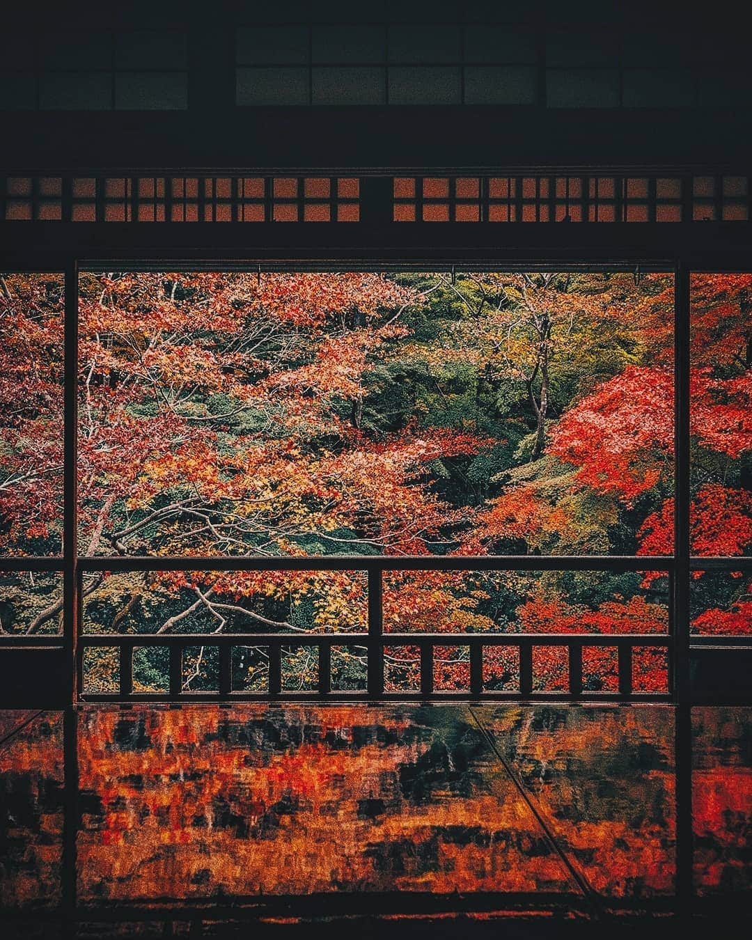 Berlin Tokyoのインスタグラム：「Autumn paints the ancient capital in the most vibrant colors, creating a dazzling contrast to the ambience of serenity. . . . #hellofrom , rurikoin, kyoto, #japan」