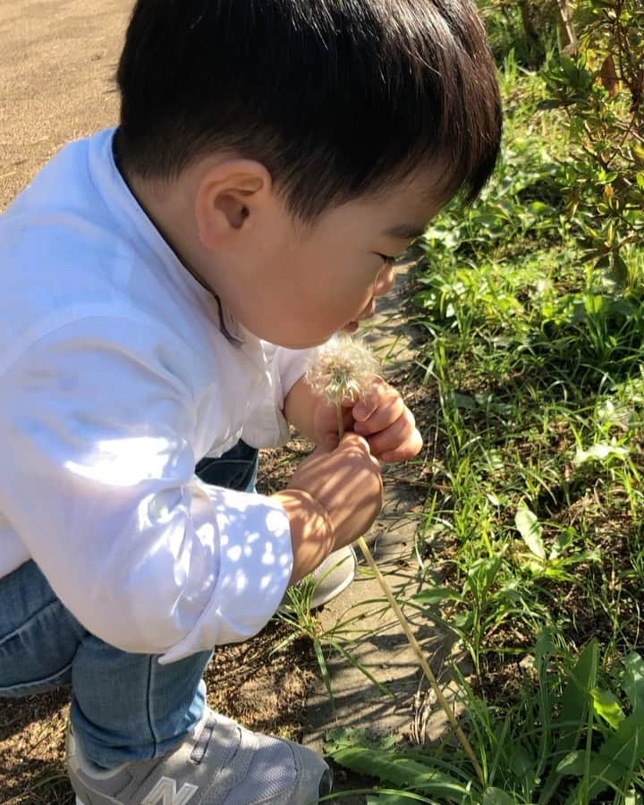 星野涼子のインスタグラム