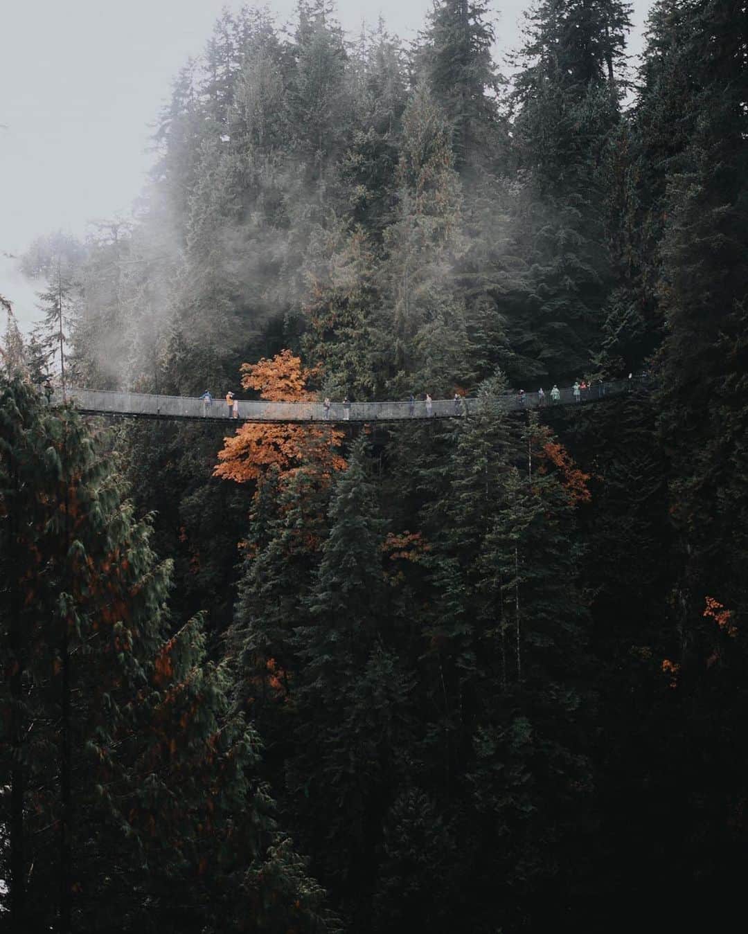 FOLKのインスタグラム：「@samciurdar has been one of my favorite photographers for a very long time. I loved getting to include him in the autumn issue of @folkmagazine. I love that Sam’s photographs bring a western perspective of autumn landscapes to the issue that is otherwise very much about the New England areas. The vibrant oranges in the green landscapes of the Pacific Northwest are just uhhhh perfect. In our conversation with Sam he shares about life as a photographer and how his faith has continually encouraged him to spread his wings. If you haven’t ordered the issue yet go to www.folkgeneral.com. The issue will sell out this week.」