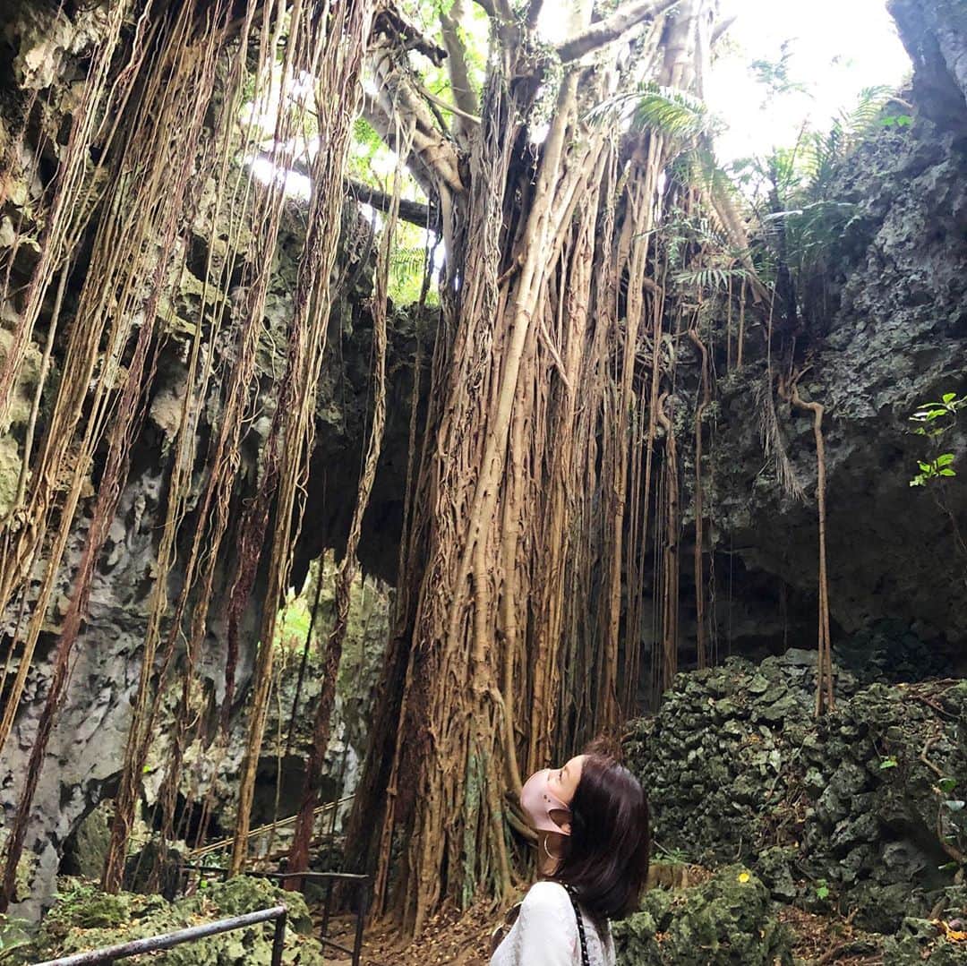 宮崎宣子のグルメインスタ