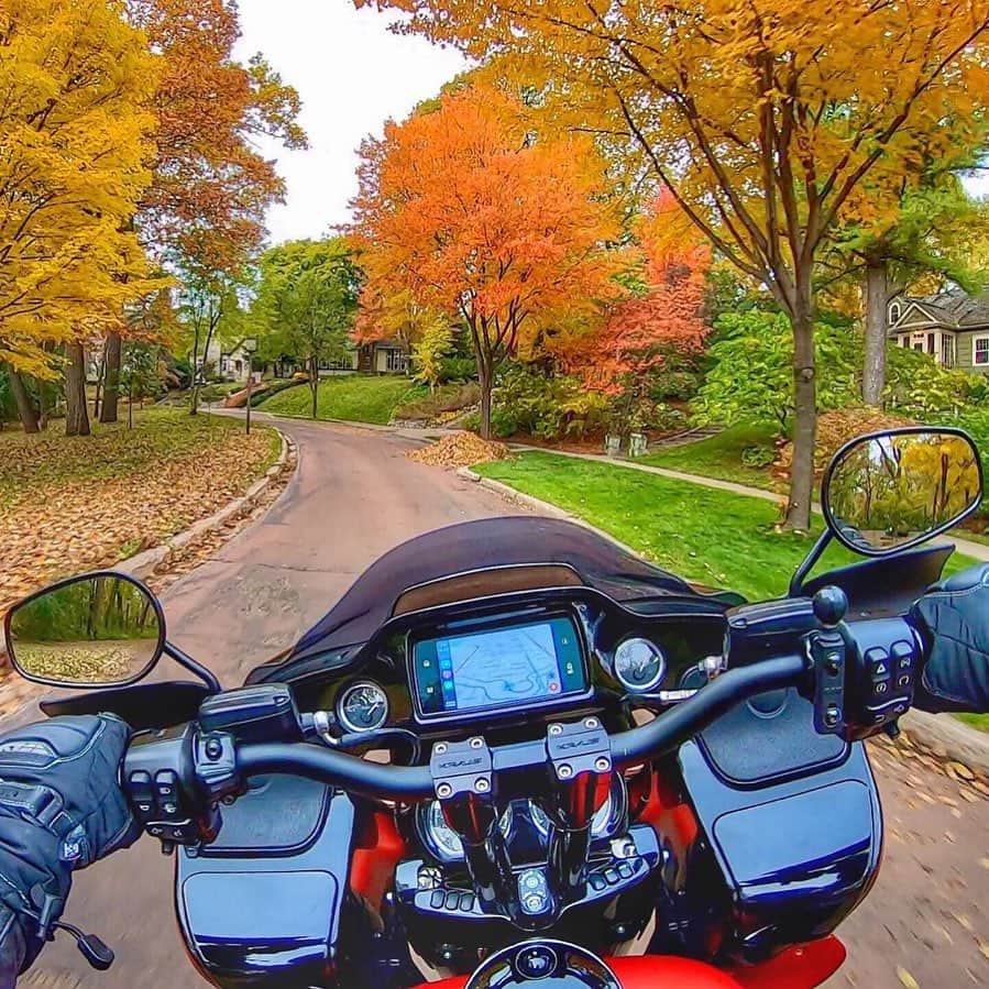 Harley-Davidson Japanさんのインスタグラム写真 - (Harley-Davidson JapanInstagram)「深まり行く秋を追いかけて。#ハーレー #harley #ハーレーダビッドソン #harleydavidson #バイク #bike #オートバイ #motorcycle #秋 #fall #autumn #ライド #ride #LetsRide #2020年 #自由 #freedom」10月25日 23時53分 - harleydavidsonjapan