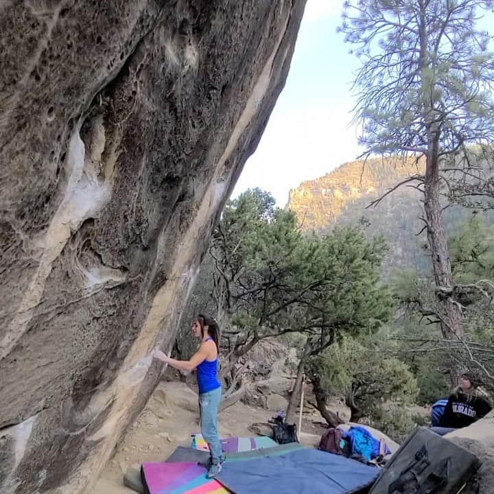 アレックス・パッチシオのインスタグラム：「What an amazing boulder, “Eden V10” Here in Joe’s Valley. . Thought I was just going to do some moves for a few pictures, but then found myself topping it out again! 😁 . This V10 is a bit difficult for the shorties at the grade, last 2 hard moves are a bit reachy, and it’s a little bit heady at the top, but I was able to make the last hard move a static instead of the committing jump to the right hand side pull crimp. 😜 . Had a fun 2 days climbing with @robinoleary, @sheneenagins and @james_lucas . Went around doing some V10’s that I had never tried before and showed @robinoleary around, it was his first time here! Good times with good peeps! 🥰💪🏻 . Also, I have been wearing the @scarpana NEW Instinct WMN Lace ups. They are AMAZING! Check them out for yourself!!!❤️ . @scarpana @organicclimbing @frictionlabs @evn_cbd」