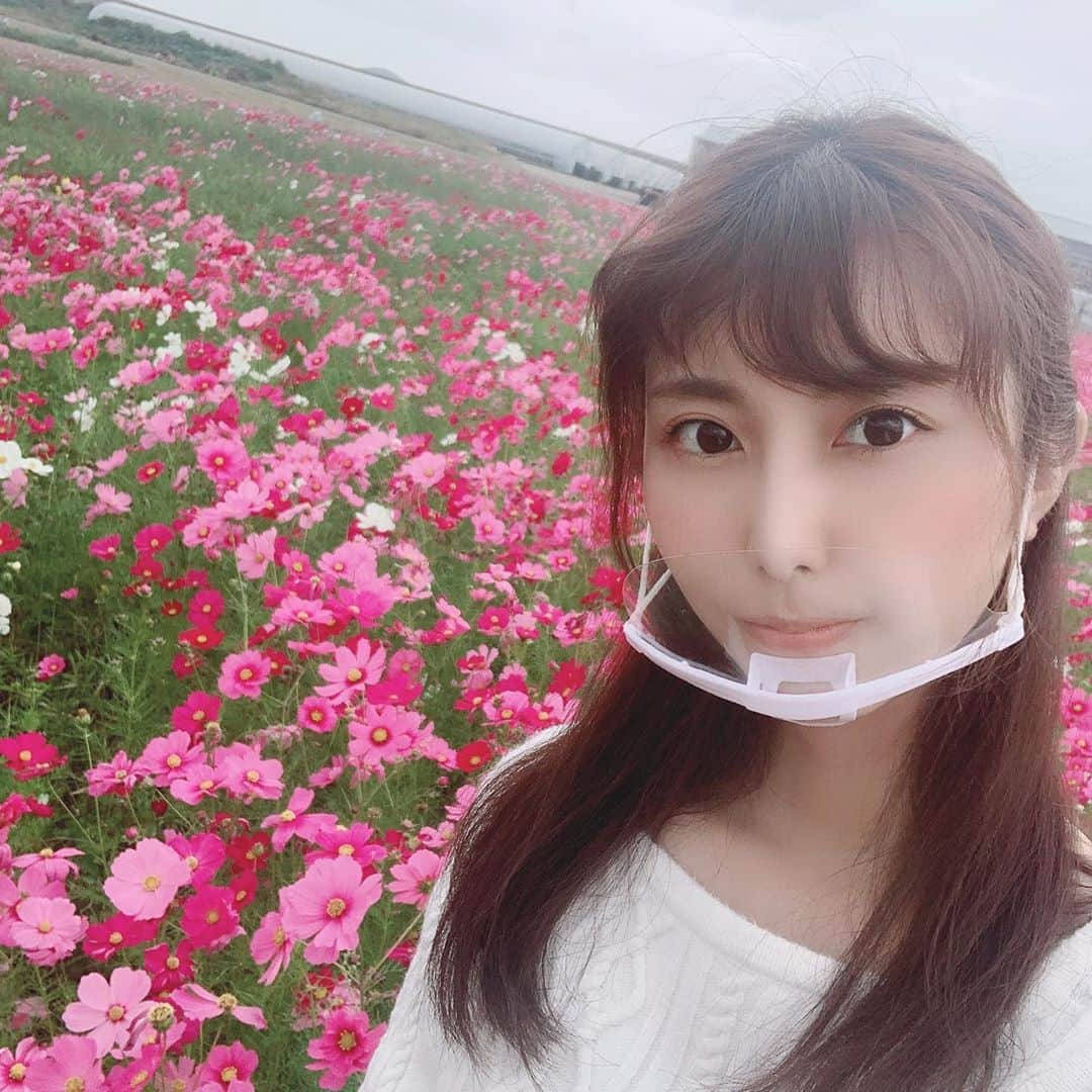 木村那津美さんのインスタグラム写真 - (木村那津美Instagram)「.  ❁⃘*.ﾟ 【mix】10/19〜23  ❁⃘*.ﾟ  *21日 花の海(山陽小野田市) *22日 光浦醸造(防府市)  から中継 させていただきました😌🙏  20日　リサイクルの日は ロケでリサイクルショップ巡りを したものが放送されました😌 （2枚目）  今週もよろしくお願いします(* 'ᵕ' )  #テレビ山口#mix #実は小文字 #フィールドリポーター  #めっちゃ髪乱れとる #結構風強め  #花の海#コスモス畑  #リサイクルショップ巡り #実は購入したもの#白いトルソー #自腹購入したけど#そのシーン#カットになった🤣」10月26日 0時04分 - natsumi_kimura1018