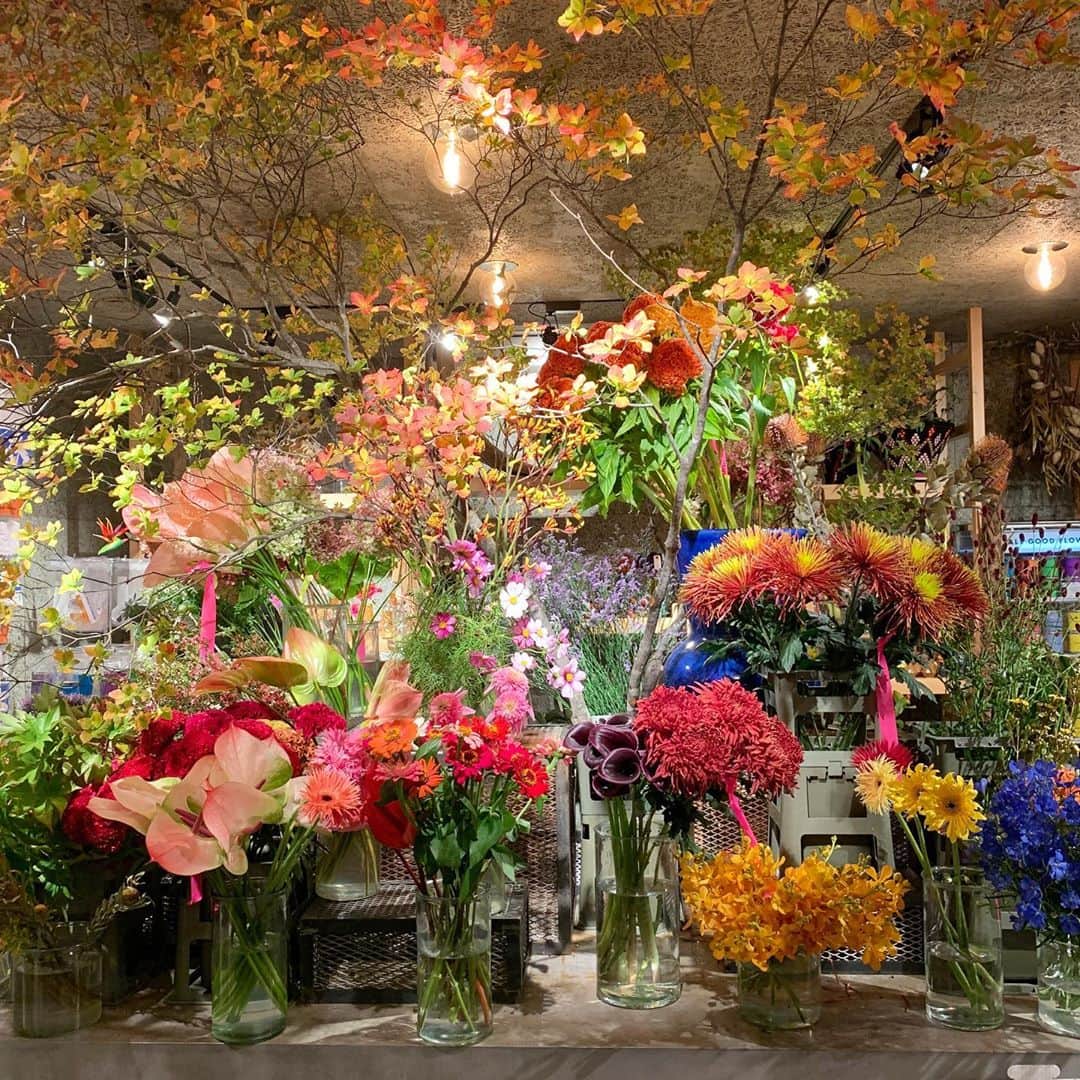 松田一輝さんのインスタグラム写真 - (松田一輝Instagram)「素敵な花屋を見つけました。」10月26日 0時16分 - matsudakazuki