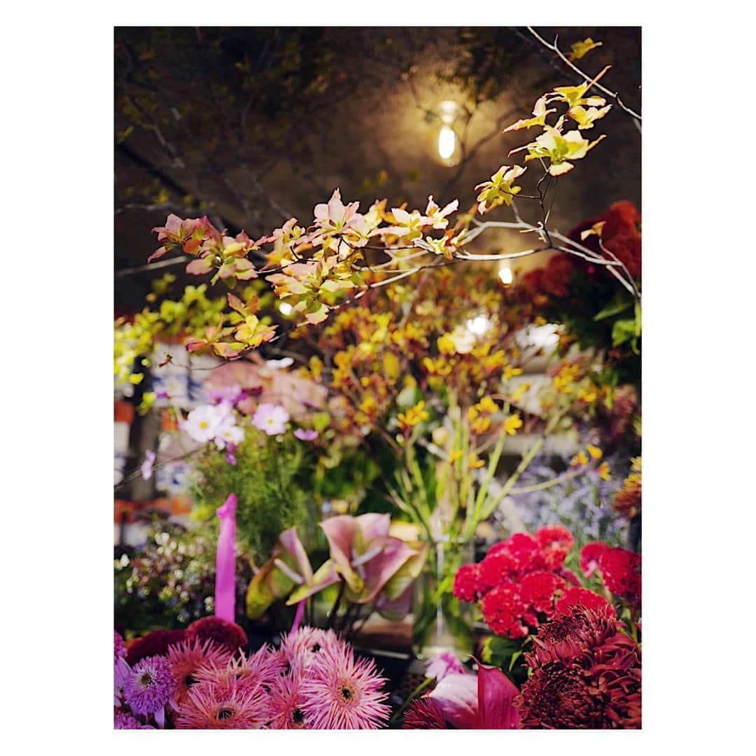 土井地恵理子さんのインスタグラム写真 - (土井地恵理子Instagram)「花瓶とお花の組み合わせによって 部屋の空気ががらっと変わる。 だから楽しい◡̈❤︎  @share_green_minamiaoyama の中にある @allgoodflowers  いつもセレクトしてるお花の 鮮やかなカラーリングが気分が上がる✨ 枝ものも豊富で 大好きなお花屋さんです💐  #flowerbase #花瓶 #花#sharegreenminamiaoyama #allgoodflowers #お花のある暮らし #flower #lifestyle #ライフスタイル」10月26日 0時29分 - ericodoiji