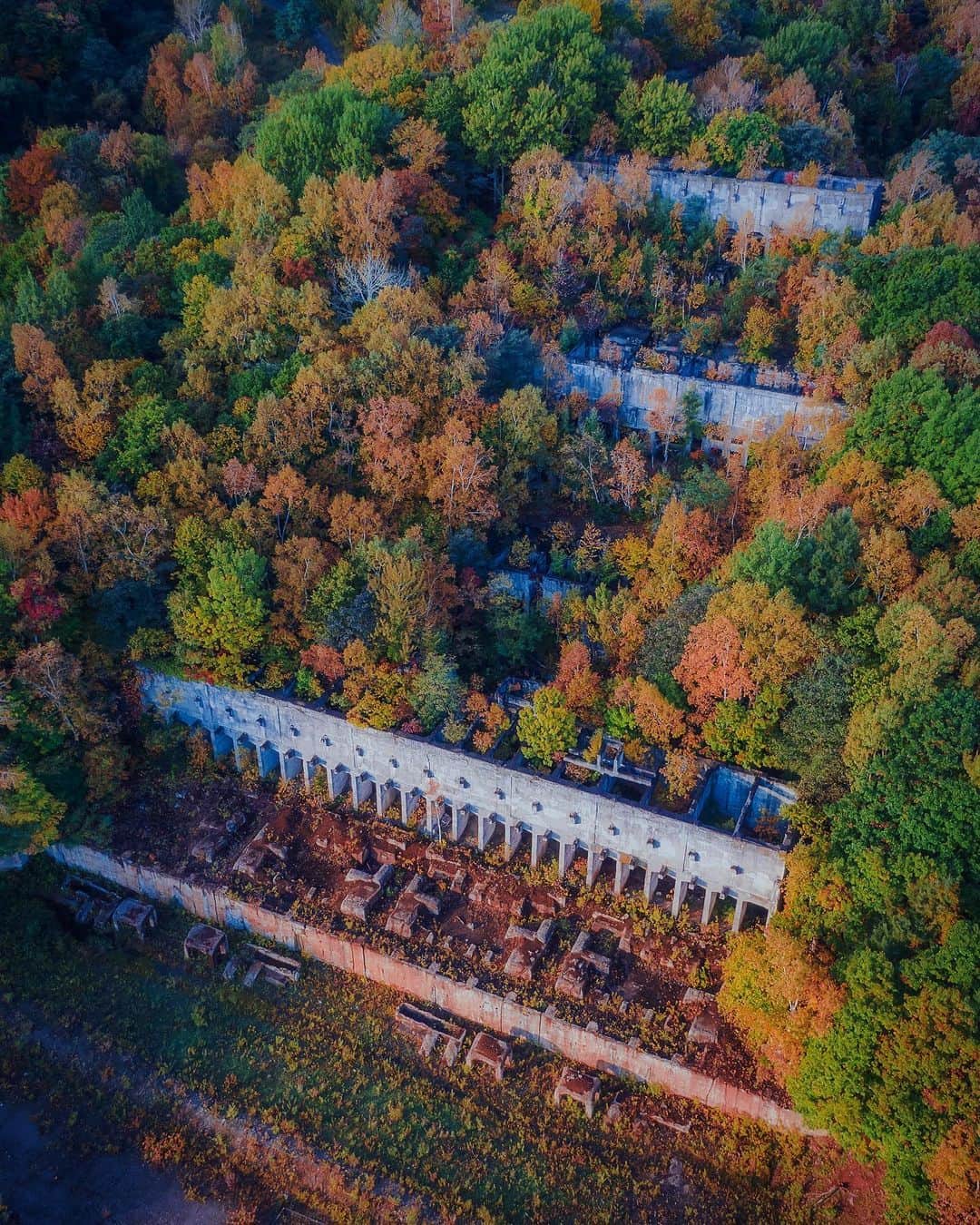 啝 （わ）のインスタグラム：「Abandoned Mine in Autumn colors 𓆲 𓆲 𓆲 #droneoftheday #djimavicpro #djiglobal #drone #dronephotography #dronestagram #dji #topdronephotos #fromwhereidrone #wedroneasia #droneosoar #skyhilife  #japan_urbex #JJ_URBEX #made_in_decay #kf_urbandonedmasks #KINGS_ABANDONED #m3xtures #Meistershots #moodygrams #nature_takes_over #natures_reclaim #ominous_perfection #pr0ject_uno #rsa_preciousjunk #savethedecay #sfx_decay」
