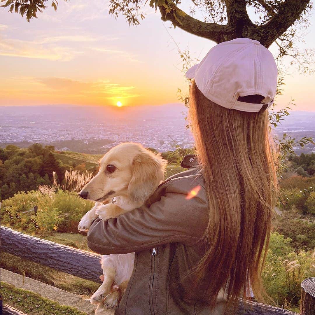 鈴木絢子さんのインスタグラム写真 - (鈴木絢子Instagram)「・ ・ 【若草山の夕焼け🦌】 週末は関西🏎  犬連れで若狭山へ。 ・ ちょうど夕方の絶景タイムで、 韓国の方のカップルがウエディングフォト撮影中でした！ ・ 🦌×💍 まさにツノジュエリーの世界観がここに。。🥰 ・ 夕焼け空のグラデーションが最高に綺麗で🌟 完全復活リフレッシュできました🤗✨  ・ ・ ・ #犬連れ関西 #リフレッシュ休暇 #週末関西 #山ドライブ #若草山 #夕焼け #夕日 #ウエディングフォト #婚約指輪 #ツノジュエリー #親子犬 #犬バカ部 #絶景 #オレンジ #光 #鹿 #nara #orange #🦌 #🌇 #⛰」10月26日 1時04分 - ayako_suzuki810
