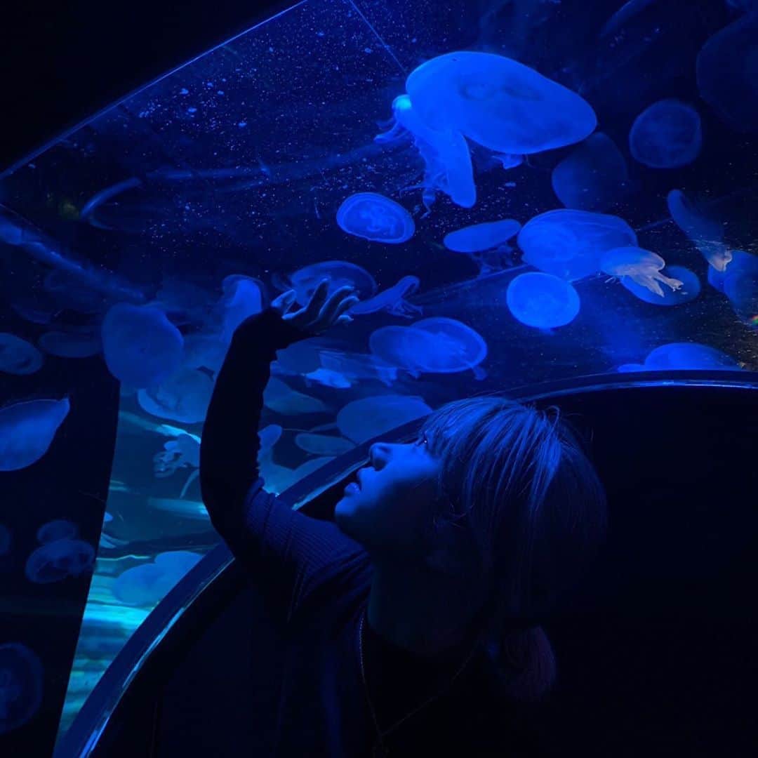 MAINA（小川舞奈）さんのインスタグラム写真 - (MAINA（小川舞奈）Instagram)「いいなぁ。 羨ましい。 クラゲ . . #クラゲ水族館」10月26日 1時25分 - ssfwmaina