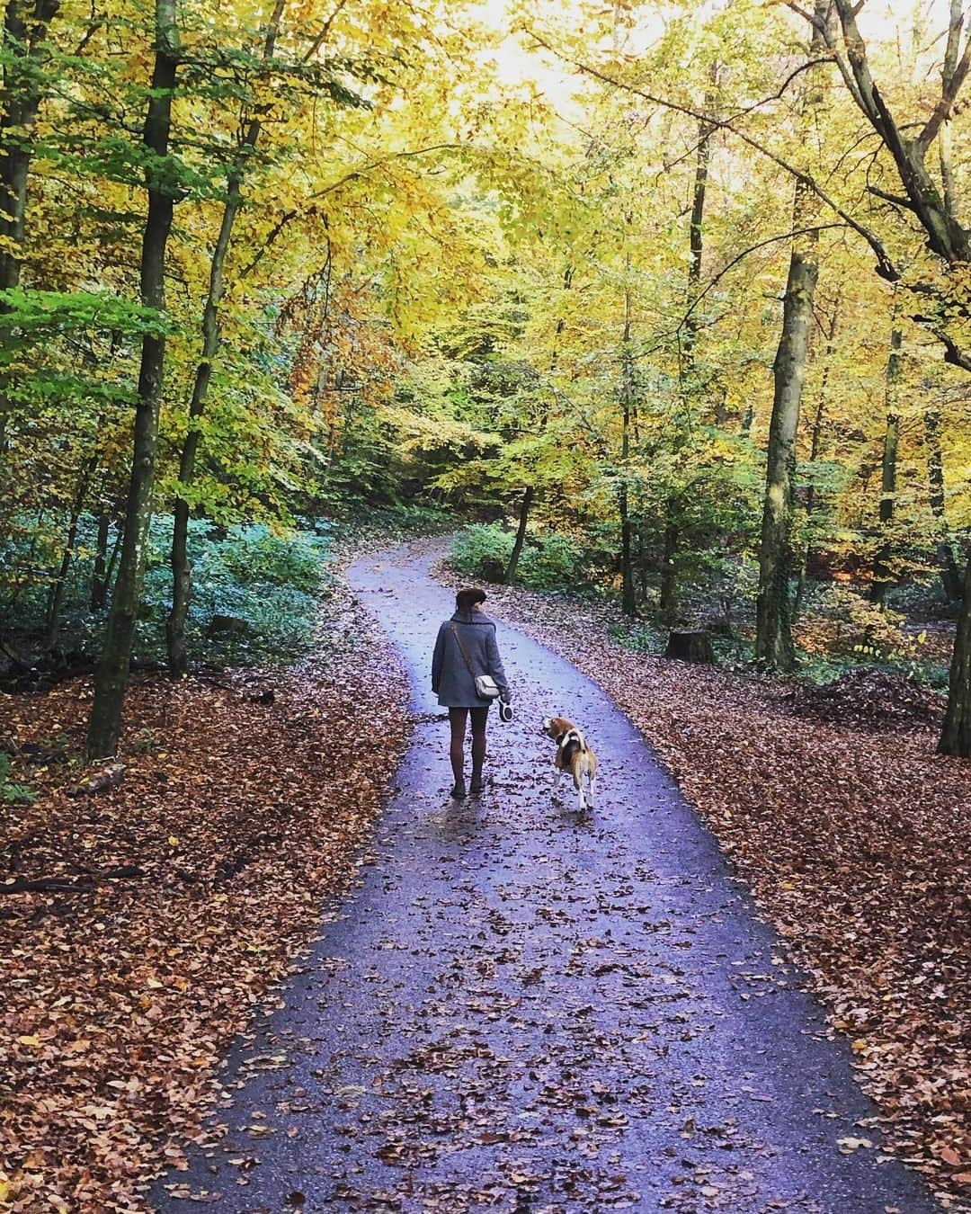 ミリアム・ツィーグラーのインスタグラム：「Beautiful walk in Salzburg today! I’m learning to appreciate the little things during this strange time 🍂🐶」