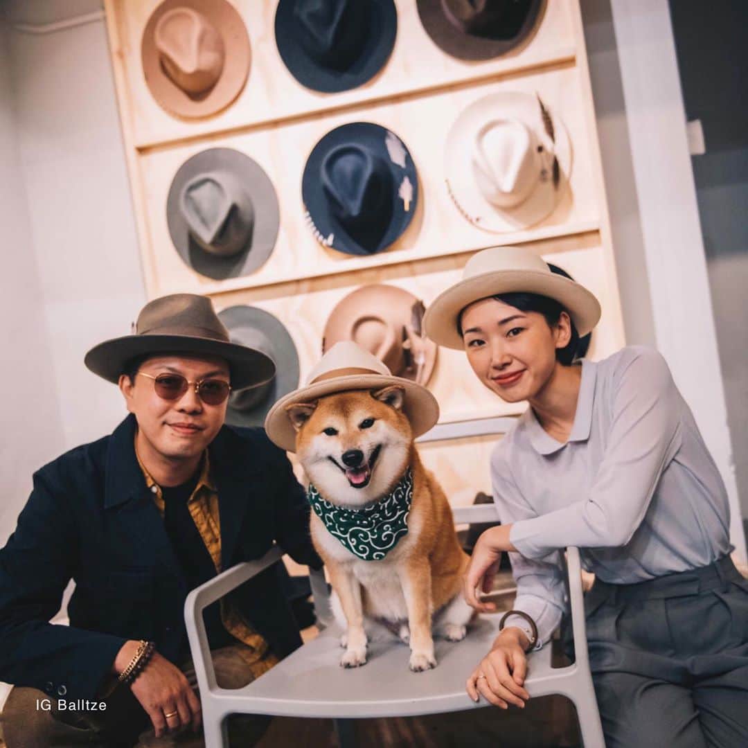 Balltze My name is Ballさんのインスタグラム写真 - (Balltze My name is BallInstagram)「How do I look in these fedora hat? Just showing up to support my dad @tastelesshatco new launches hat. Check them out in @stillhouse.haven  #fat96 #balltze #nomnomnomclub #balltzecheems #yos #cheems」10月26日 1時41分 - balltze