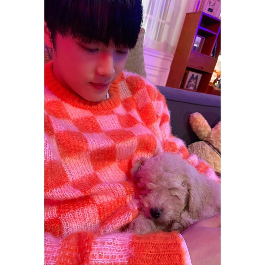 チュ・ハンニョンさんのインスタグラム写真 - (チュ・ハンニョンInstagram)「201025 • [TWITTER: WE_THE_BOYZ] "🐕x👉"」10月26日 2時20分 - hak_nyeon