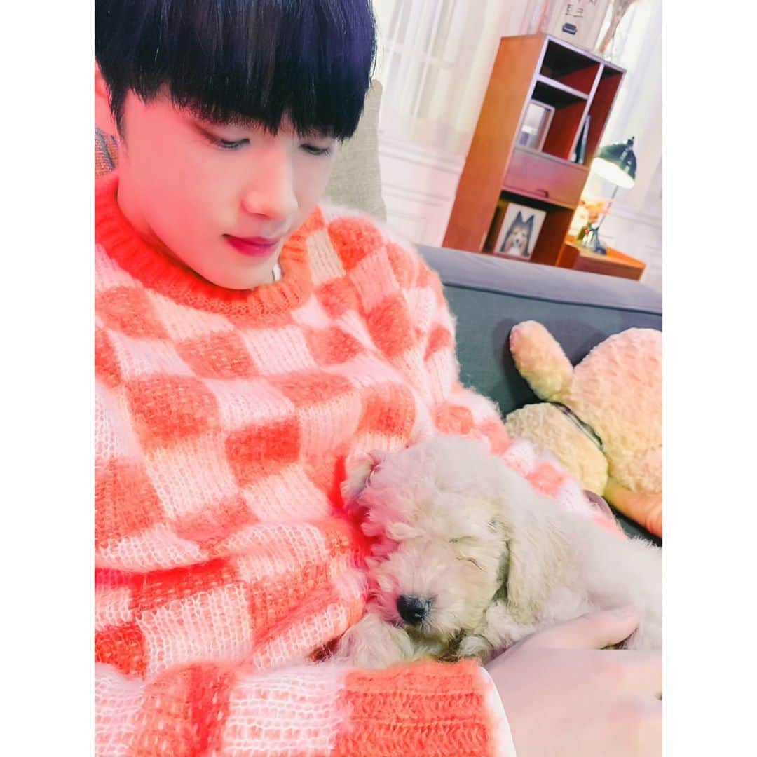 チュ・ハンニョンさんのインスタグラム写真 - (チュ・ハンニョンInstagram)「201025 • [TWITTER: WE_THE_BOYZ] "🐕x👉"」10月26日 2時20分 - hak_nyeon