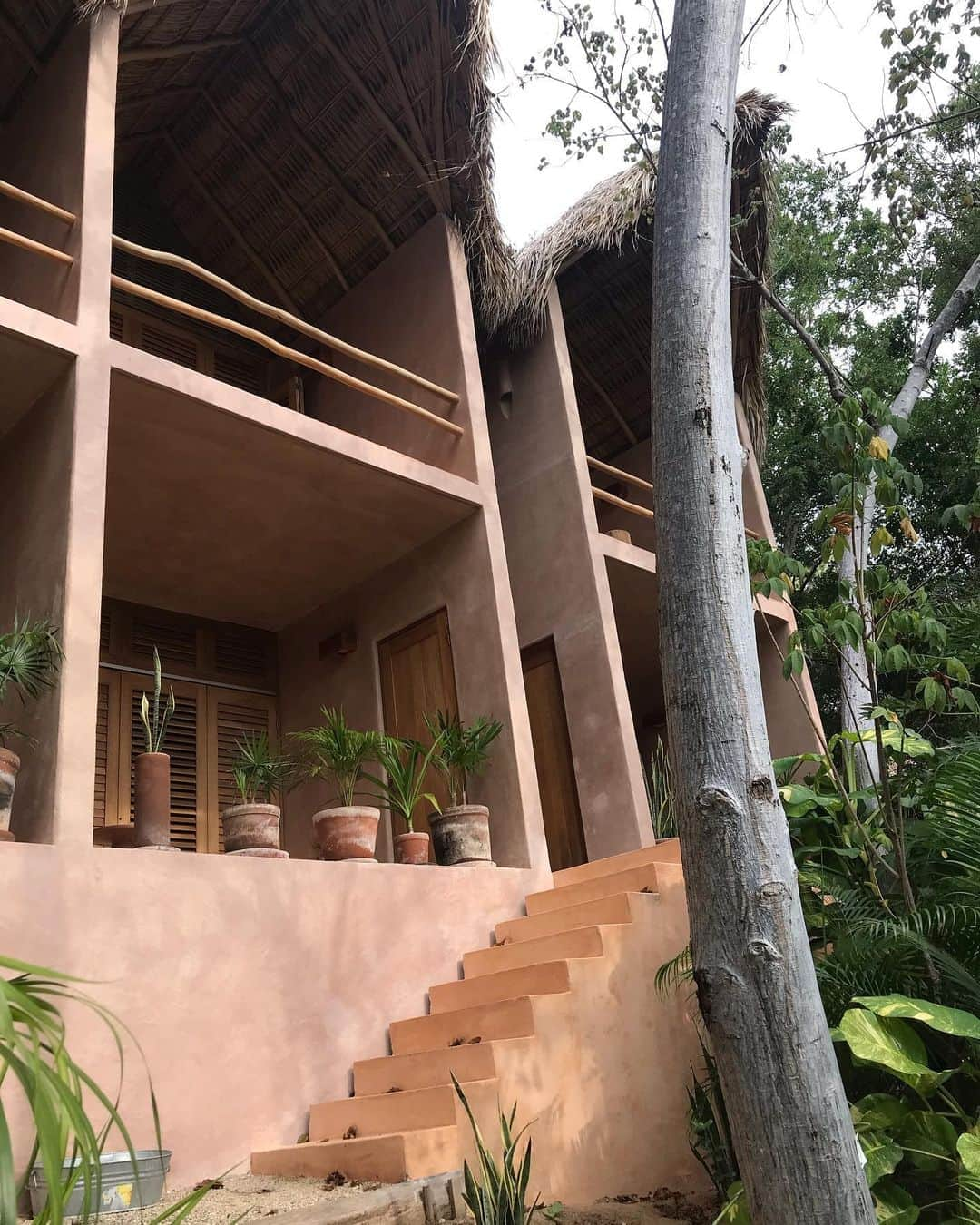 トームさんのインスタグラム写真 - (トームInstagram)「Secluded paradise @monteuzulu tucked away from already subdued, slow paced  #PlayaSanAugustinillo on the #Oaxaca coast. We slept with the doors open to the thick jungle and sounds of crashing waves from the #PacificOcean and not a single mosquito bite nor spider sighting! Though several giant tarantulas were spotted casually crossing the roads on the drive here @alexsikkema」10月26日 2時37分 - tomenyc