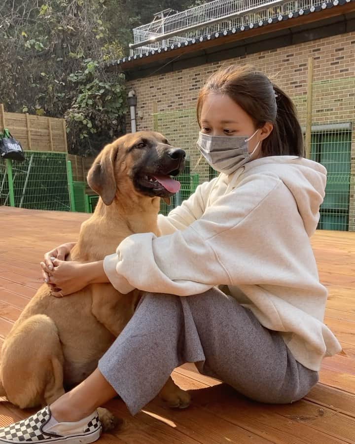 キム・ダヘのインスタグラム：「이 친구들은 개농장에서 식용견으로 있다가 구조된 친구들이에요 이렇게 예뿌고 착한데...? 천사같다 진짜루 귀염둥이들 #계양산개농장#사지말고입양하세요 @lotte250dogs」
