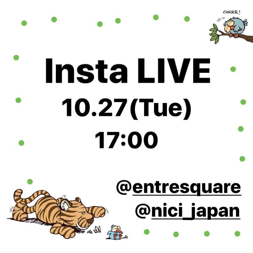 NICI JAPANさんのインスタグラム写真 - (NICI JAPANInstagram)「. . Insta LIVE!! 日時:10月27日（火）17時〜 . 11月発売の新商品をご紹介！ 再入荷商品もありますので、お楽しみに😊💕 . @entresquare と同時配信しますので 是非ご覧ください♪ . . #nici #ニキ #ぬいぐるみ #ぬいぐるみ好きさんと繋がりたい #かわいい #新商品 #インスタライブ #entresquare」10月26日 15時11分 - nici_japan