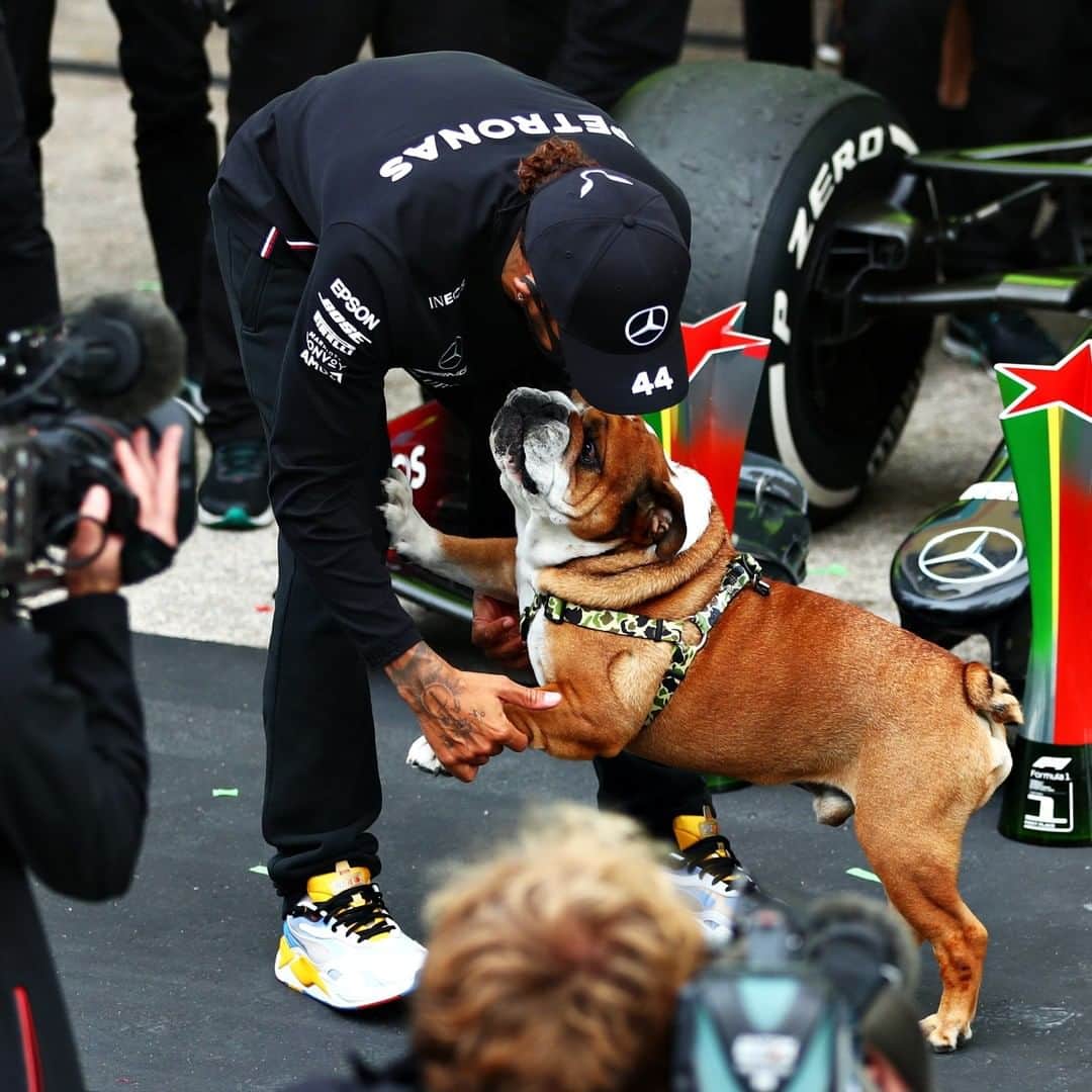 F1さんのインスタグラム写真 - (F1Instagram)「Top dogs 🐶  @lewishamilton's best buddy Roscoe was on the scene to enjoy his record-breaking win on Sunday in Pawtimao 🐾  #F1 #Formula1 #PortugueseGP #DogsOfInstagram」10月26日 6時46分 - f1