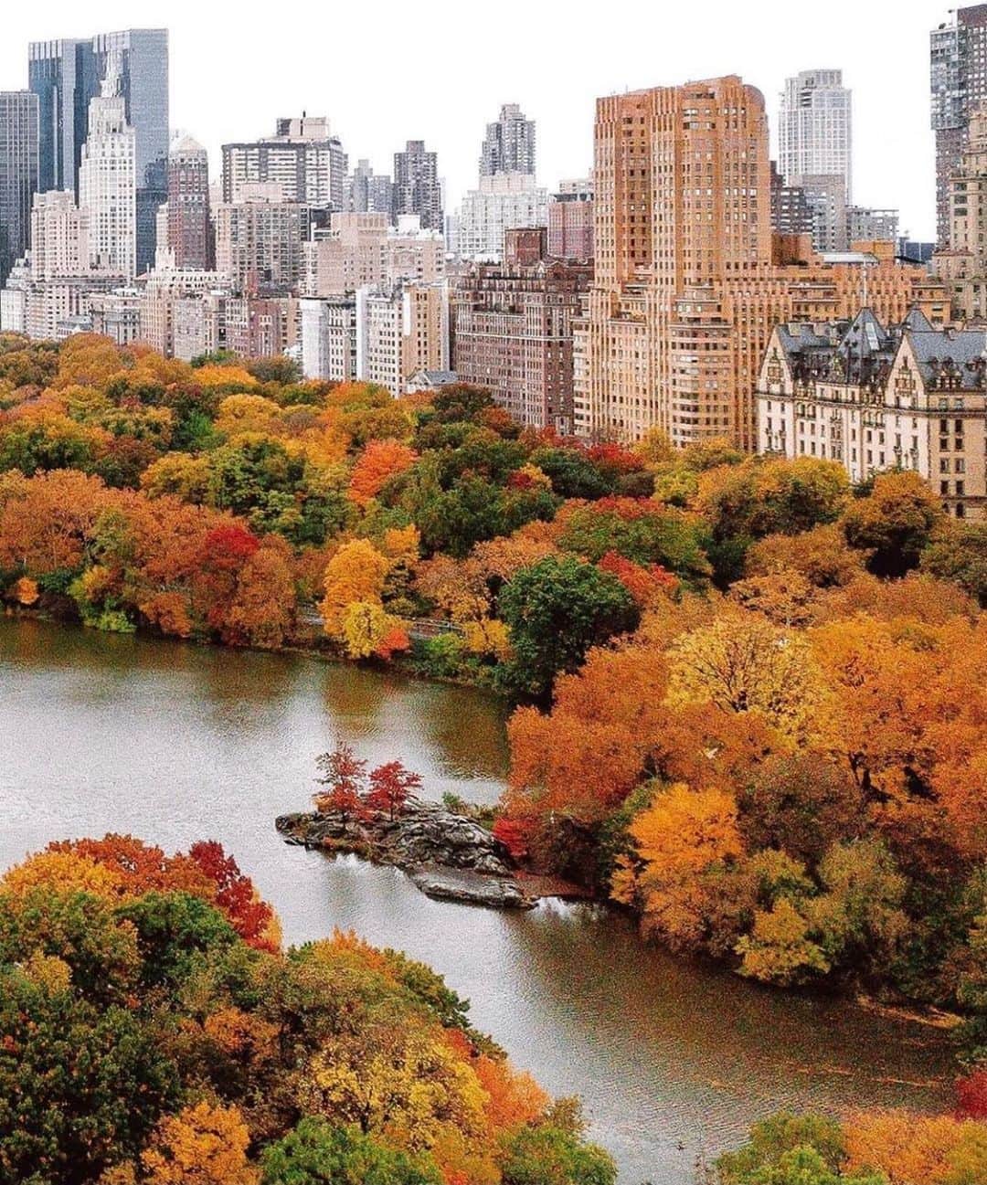 The Peninsula Hotelsさんのインスタグラム写真 - (The Peninsula HotelsInstagram)「Autumn in New York City is simply breathtaking, as captured here by @gmp3. Cc: @thepeninsulanyc  #newyork #newyorkcity #centralpark #luxurytravel #nyc #nycprimeshots #instagramnyc」10月26日 6時52分 - peninsulahotels
