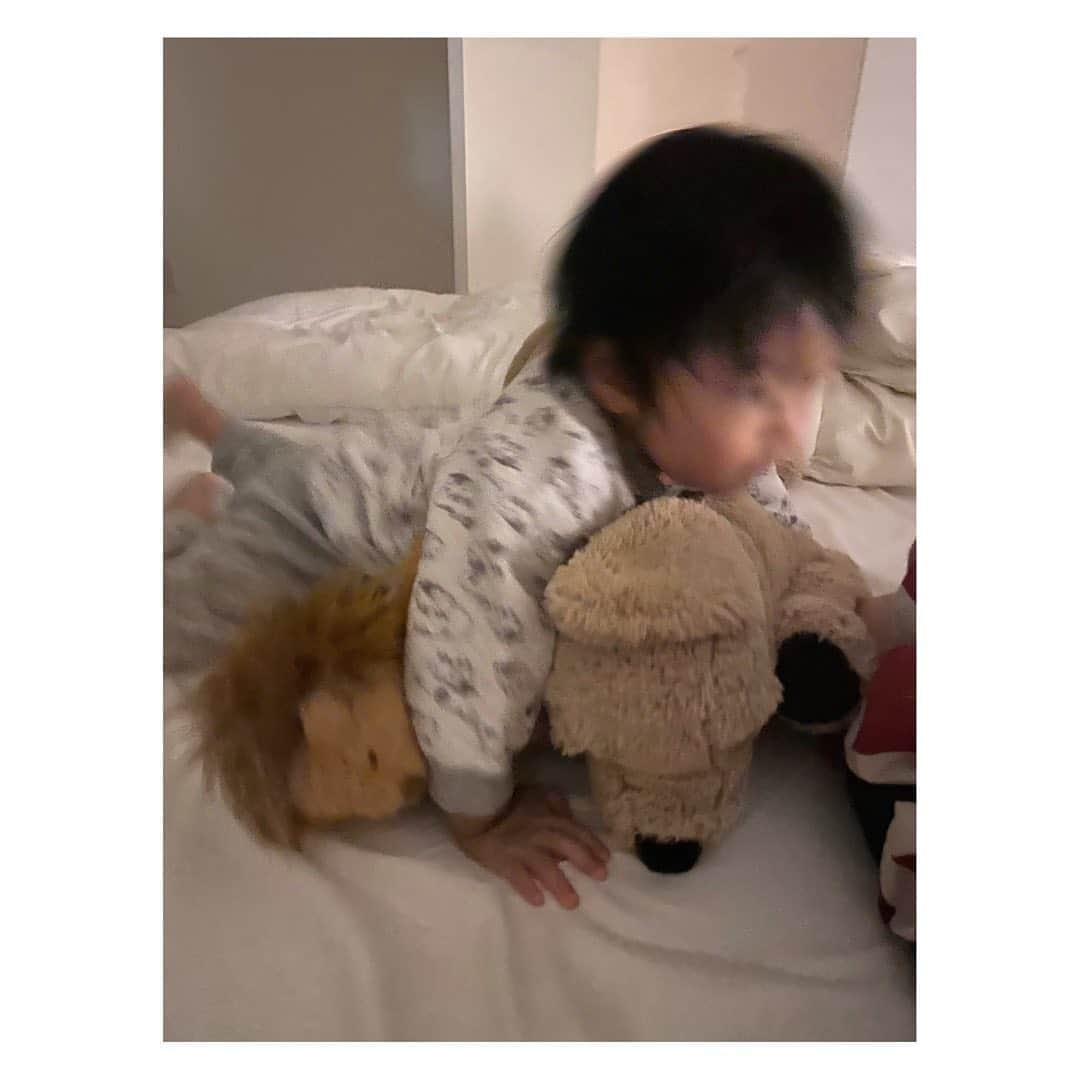 柏木作夢さんのインスタグラム写真 - (柏木作夢Instagram)「G"morning🌞 ・・・・・ #morning#monday#weekday#gm#son#family#love#gmorning#mood#l4l#f4f#Jr#photooftheday#instadays#instadaily#sunny#fine#october#おはよう#息子#子供のいる暮らし #こどものいる暮らし #景色#柏木景色#1歳#男の子」10月26日 7時50分 - samukashiwagi