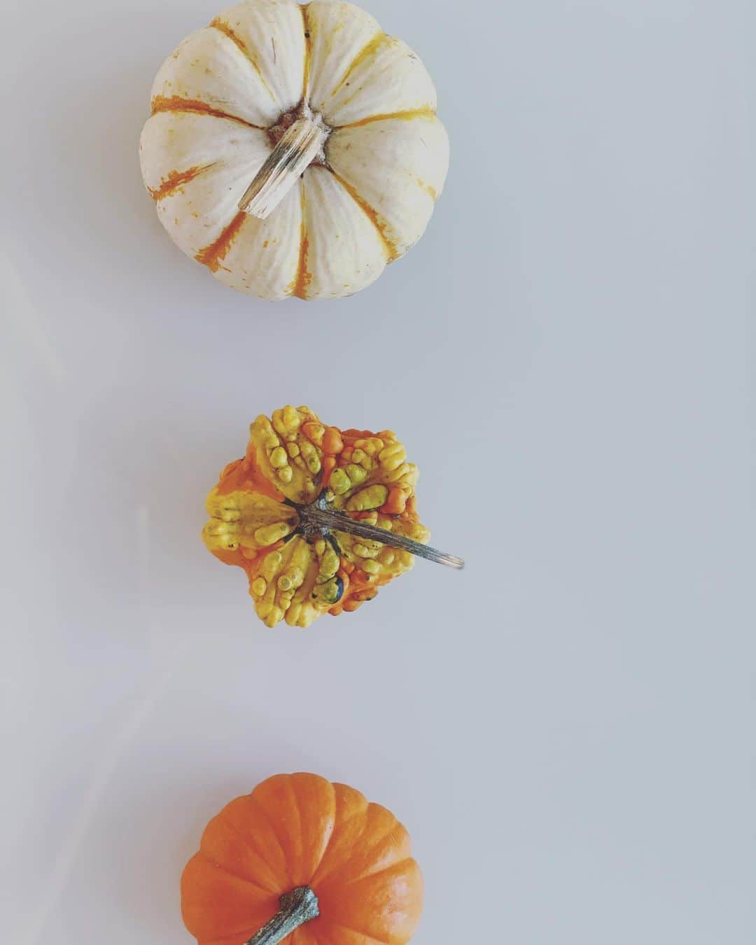倉永美沙さんのインスタグラム写真 - (倉永美沙Instagram)「It’s time to carve pumpkins! パンプキンカービング🎃  #halloween #pumpkin #fall #sanfrancisco」10月26日 8時01分 - misakuranaga