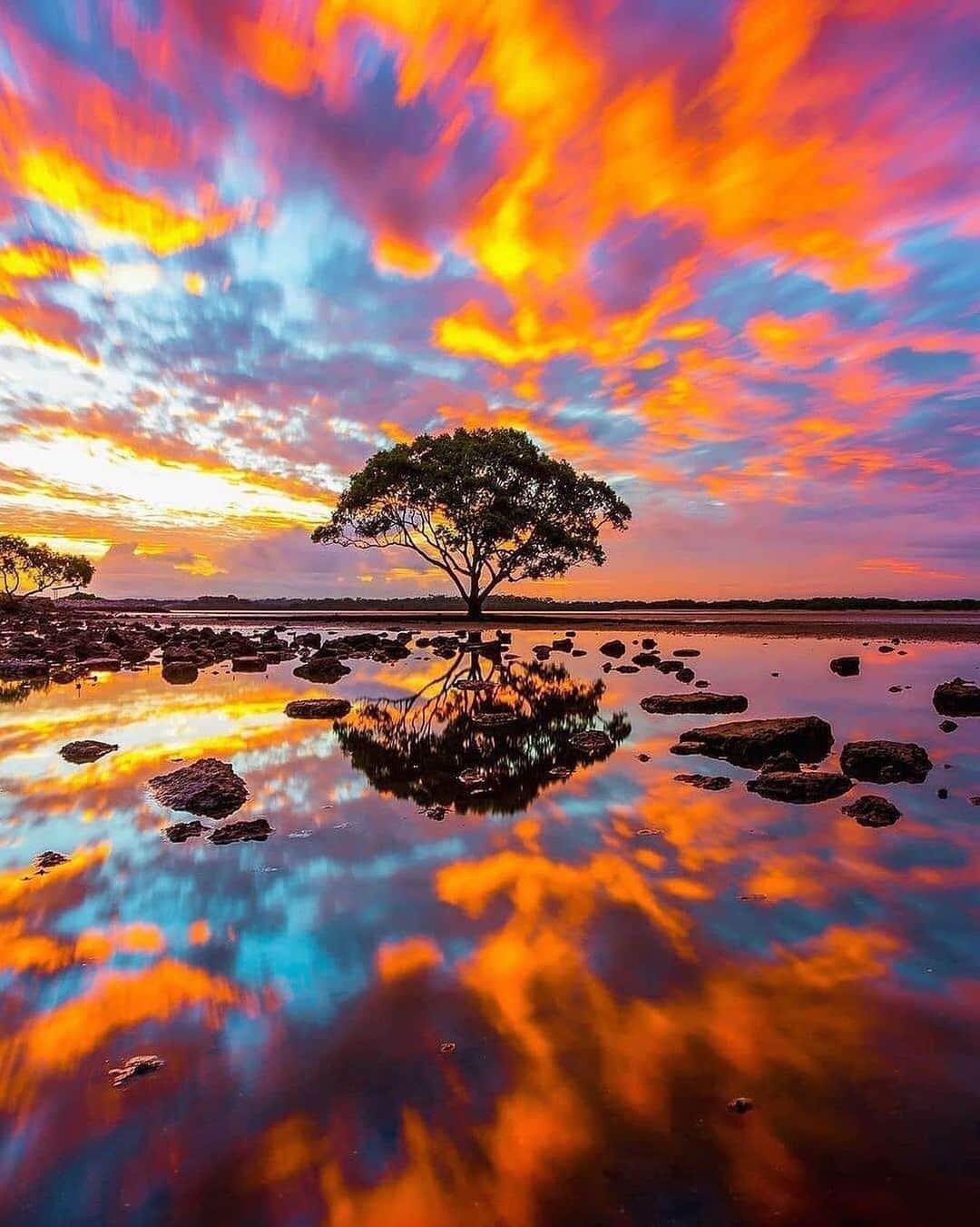 Canon Photographyさんのインスタグラム写真 - (Canon PhotographyInstagram)「Perfect symmetry 🌅 Photography // @mitchellpettigrew Curated by @steffeneisenacher  #sunset #tree_magic #reflections #seeaustralia #brisbane #queensland」10月26日 8時05分 - cpcollectives