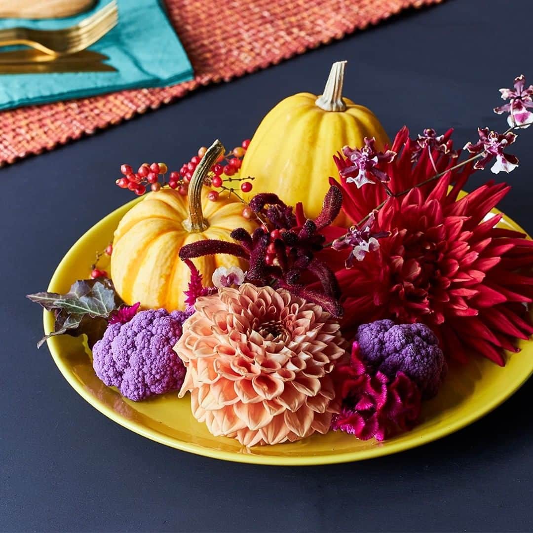 青山フラワーマーケットさんのインスタグラム写真 - (青山フラワーマーケットInstagram)「#ダリア を楽しむ、#飾り方アイデア -04- 　 #おもちゃカボチャ と季節の花を、料理のように盛り付けてみました。 　 作り方は簡単。お皿におもちゃカボチャを並べたら、葉や実、花首で短くカットした花を飾っていくだけ。最後に花が動かないよう、ポットなどで静かに水を注ぎます。 　 簡単なのに存在感があり、テーブルコーディネートの主役になります。 　 お皿の色や使用する花材を変えればまた違った雰囲気も演出できるので、ぜひインテリアに合わせてアレンジをお楽しみください。 　 #ハロウィン まで、あと少しですね。 　 #trickorflower #おうちでハロウィン #おもちゃかぼちゃ #aoyamaflowermarket #青山フラワーマーケット #花のある暮らし #花のある日常 #インテリアフラワー #halloween #dahlia #livingwithflowerseveryday」10月26日 8時10分 - aoyamaflowermarket