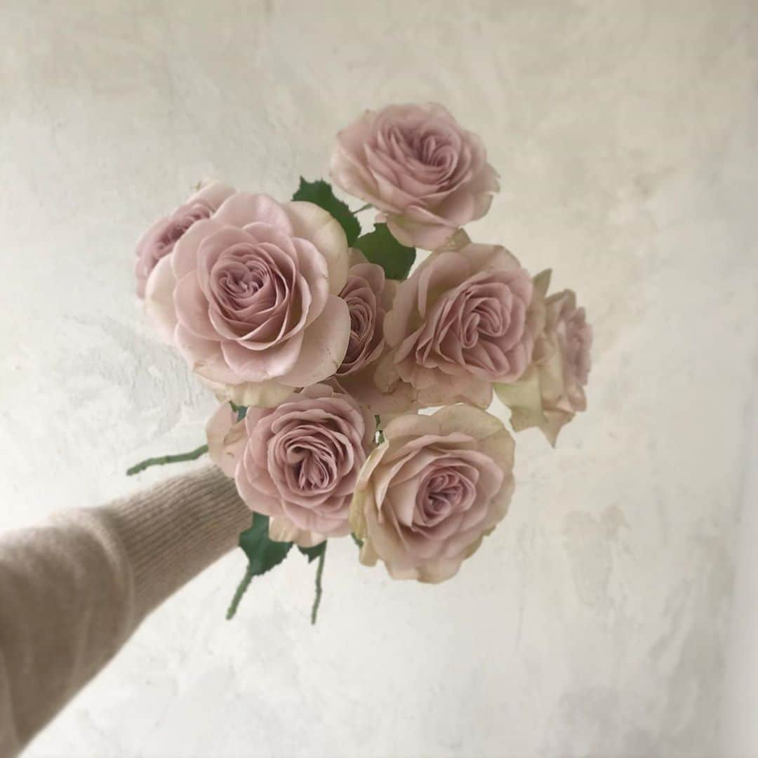 플로리스트 이주연 florist Lee Ju Yeonさんのインスタグラム写真 - (플로리스트 이주연 florist Lee Ju YeonInstagram)「. . 봐도봐도 아름다운 노틀담 🤍 @flor_stuff_official 🤍 . . #노틀담장미 #장미 #rose . 订花 WeChat ID vaness_flower 페이팔 결제 가능  클래스상시모집 당일꽃주문가능 . #수업문의 #주문예약 #lesson #Order  Katalk ID vaness52 WeChat ID vaness_flower E-mail vanessflower@naver.com . 서초구 양재천로 123 5층 📞02-545-6813 . #vanessflower #florist #flowershop #handtied #flowerlesson #花束 #바네스플라워 #플로리스트 #꽃다발 #부케 #플로리스트학원 #플라워레슨 #양재동꽃집 #양재역꽃집 #꽃다발주문 #꽃수업 #꽃주문  #대관 #공간대여 #스튜디오대관 #자연광스튜디오 #자연광스튜디오대관 #스튜디오」10月26日 8時10分 - vanessflower