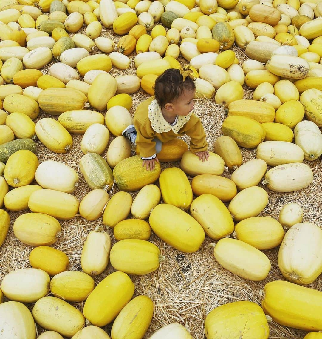 キャメロン・リチャードソンのインスタグラム：「When you win picking out the pumpkin patch outfit....」