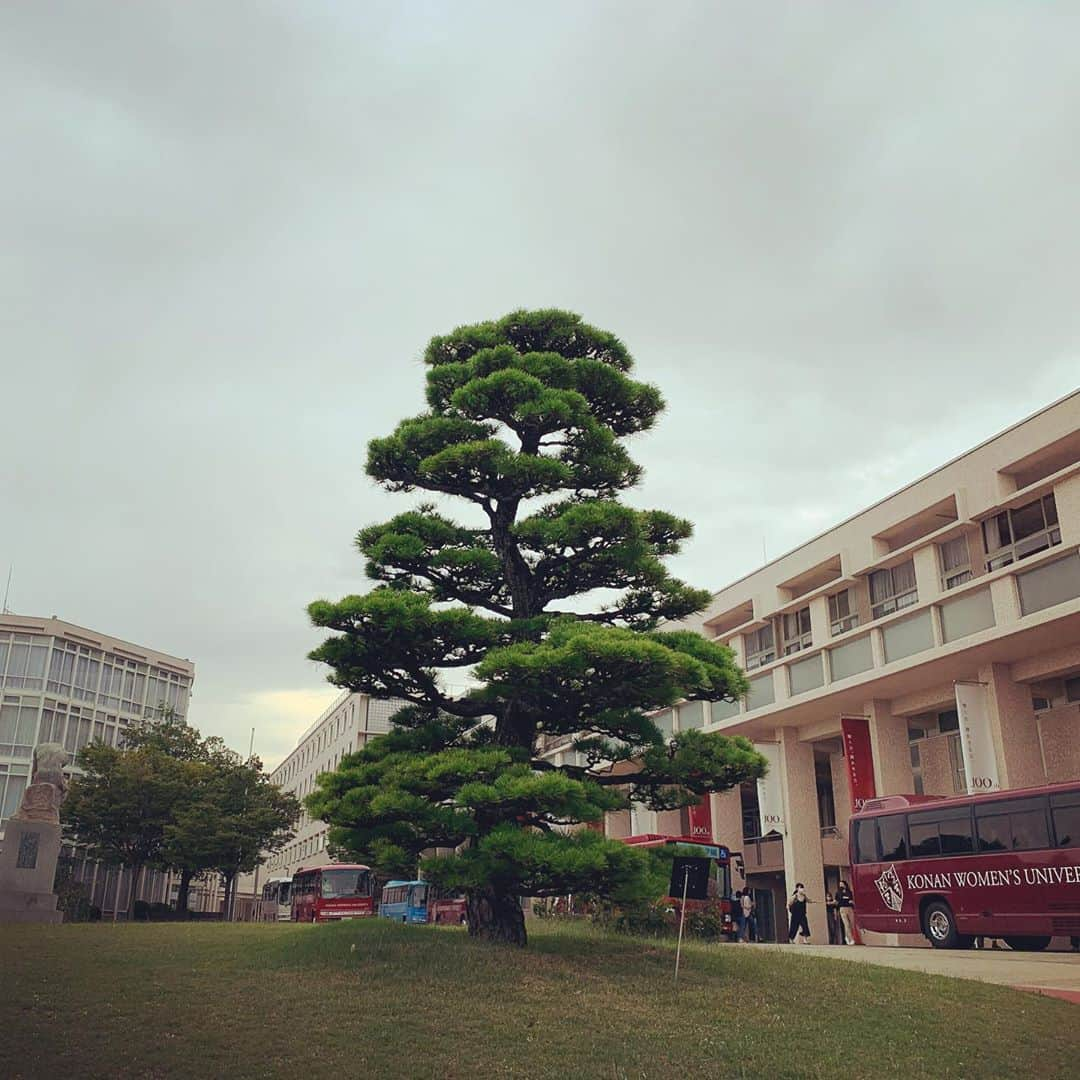 藤咲えりさんのインスタグラム写真 - (藤咲えりInstagram)「先月から母校の系列の大学、甲南女子大学で講師をしています。 カテゴリーは文学部のメディア表現学科です。 歌、芝居と講師をしてきてついに今回はダンスパフォーマンス演習の講師です。 私の基盤を創ってくれた甲南に少しでも恩返しできるよう頑張ります。」10月26日 9時20分 - eri_fujisaki91