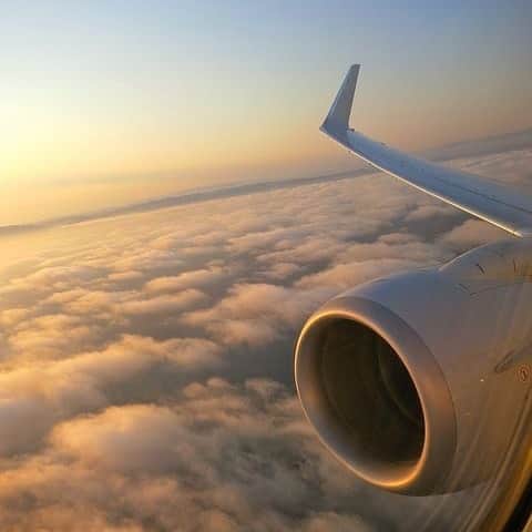 麻生果恩のインスタグラム：「旅行行きたいね🍨」