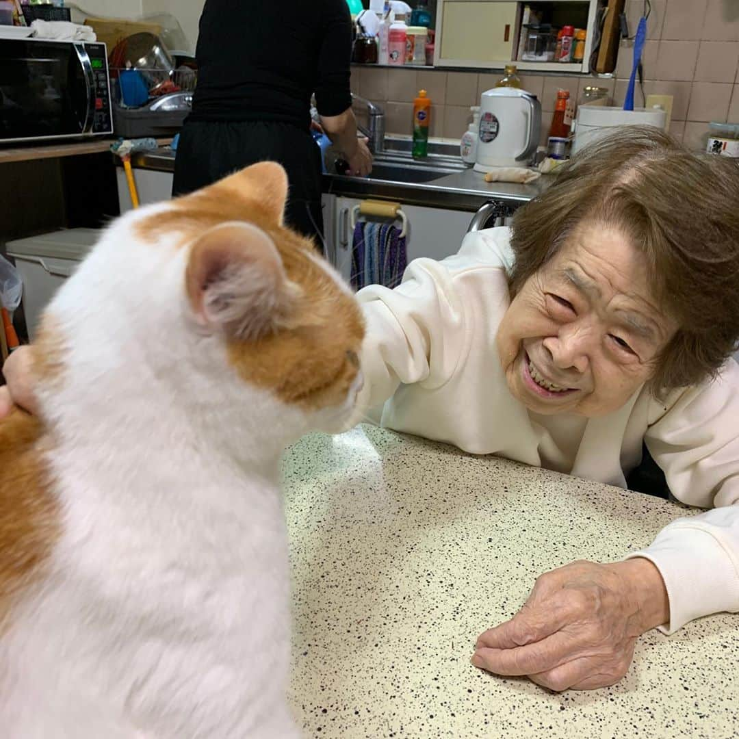 Kachimo Yoshimatsuさんのインスタグラム写真 - (Kachimo YoshimatsuInstagram)「おいなりちゃん、実習中。 Oinari-chan is in training.  #うちの猫ら #oinari #バーバ #バーバと猫 #バーバ見守り隊 #猫 #ねこ #cat #ネコ #catstagram #ネコ部 http://kachimo.exblog.jp」10月26日 9時47分 - kachimo